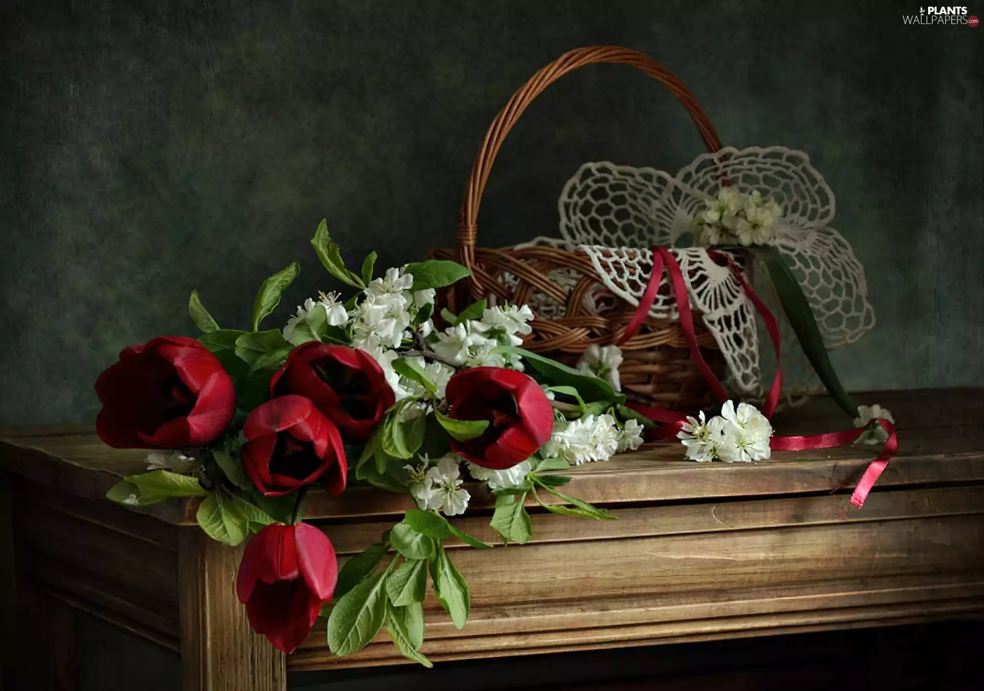 basket, Tulips, jasmine