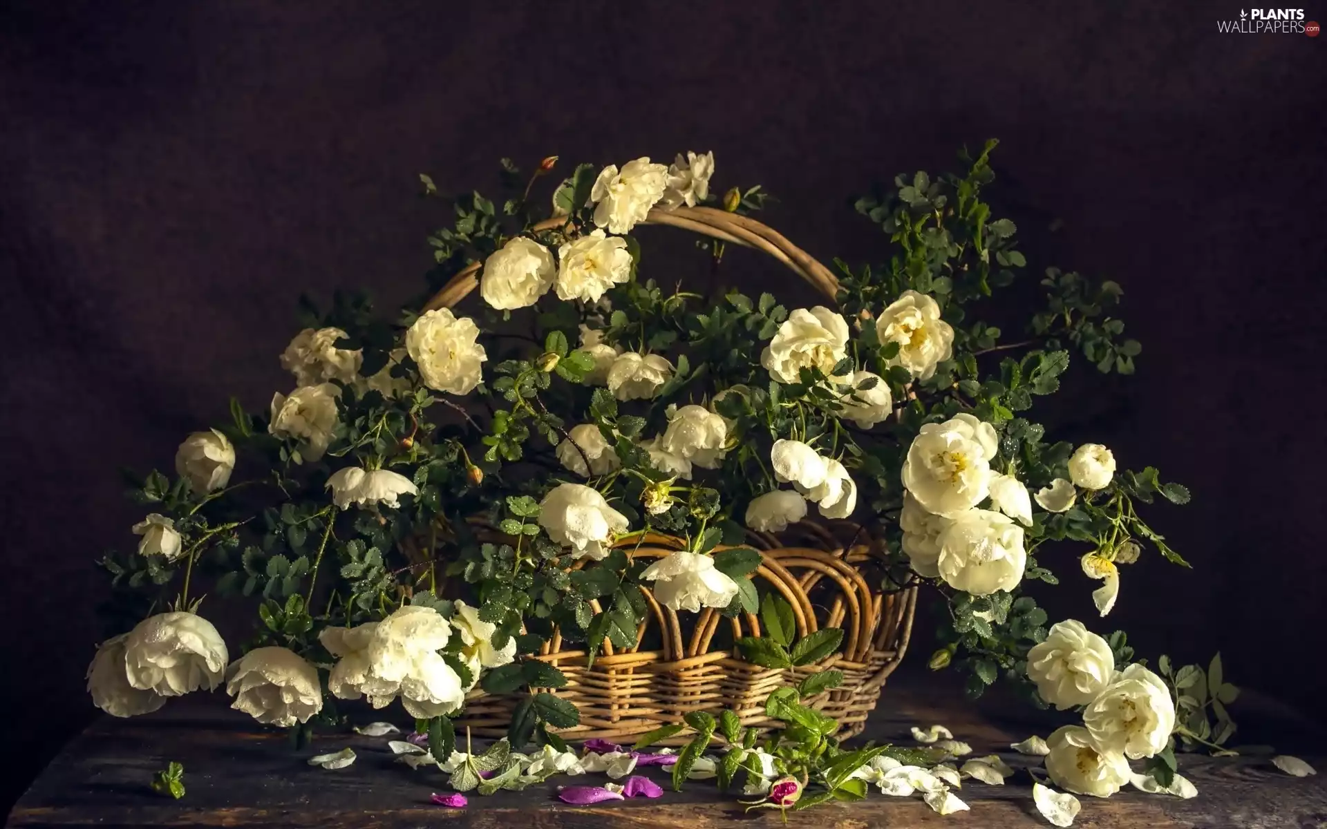 roses, flakes, leaves, basket