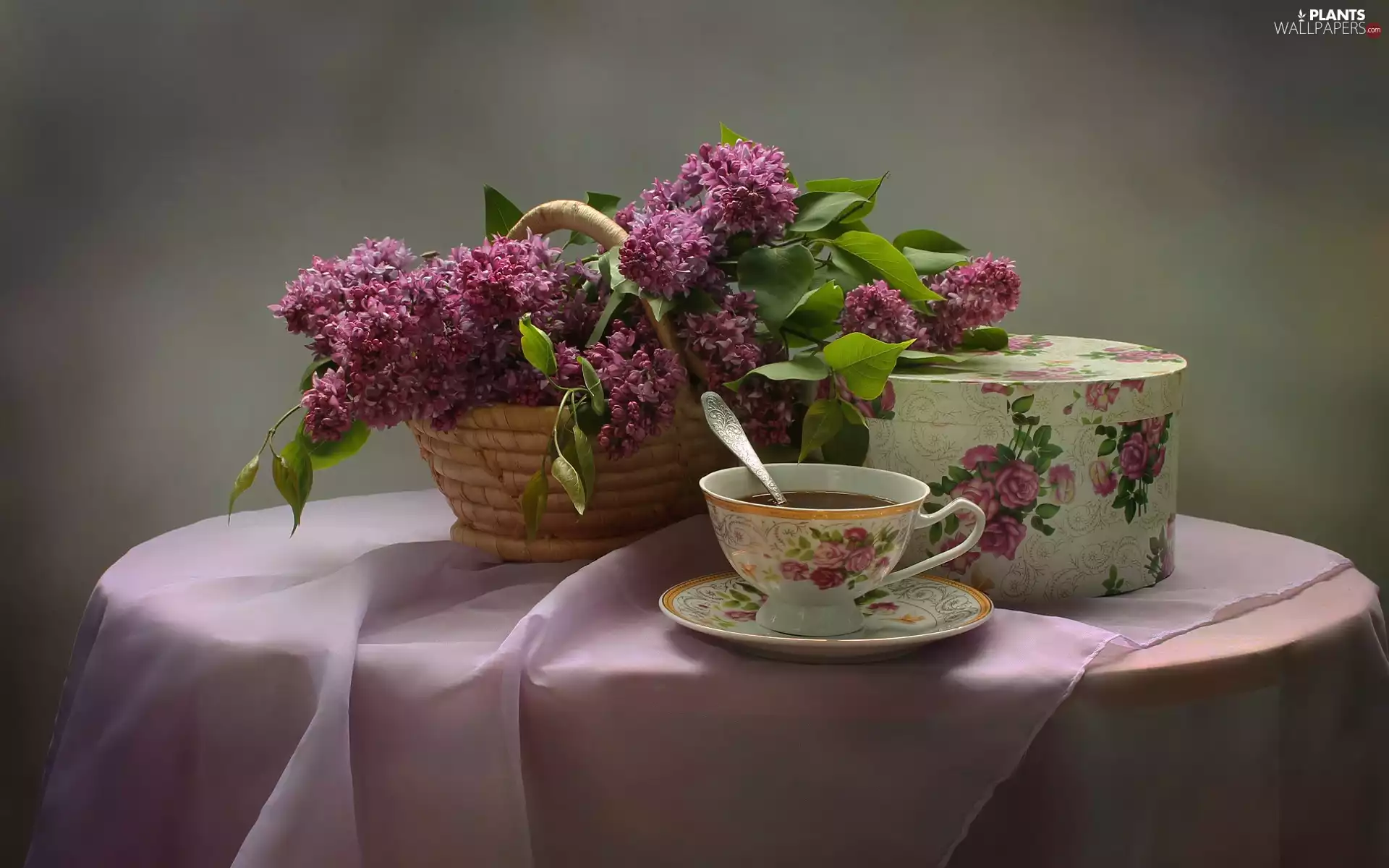 without, wicker, tea, basket, composition, cup, Box