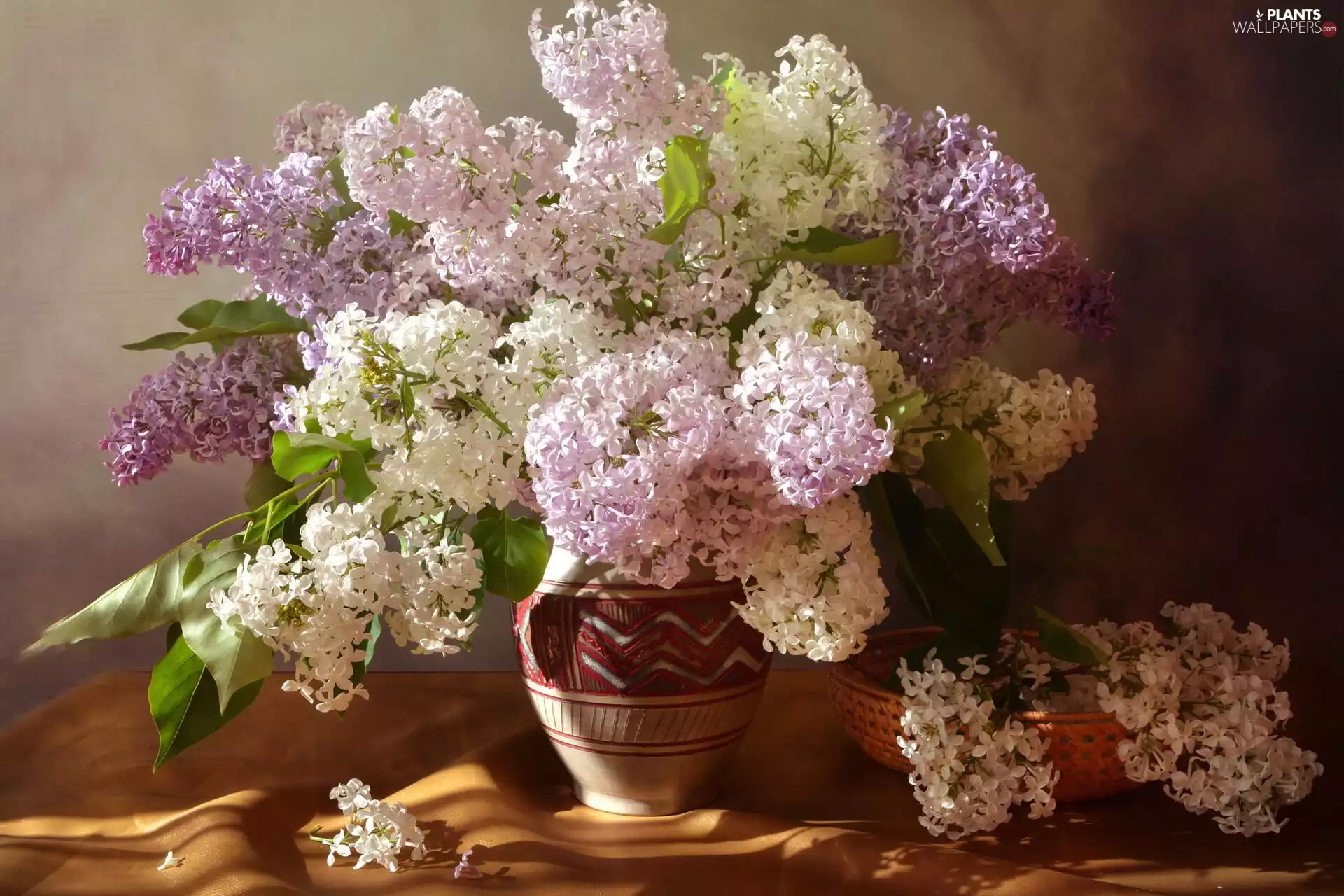 Vase, basket, without, Syringa, Flowers