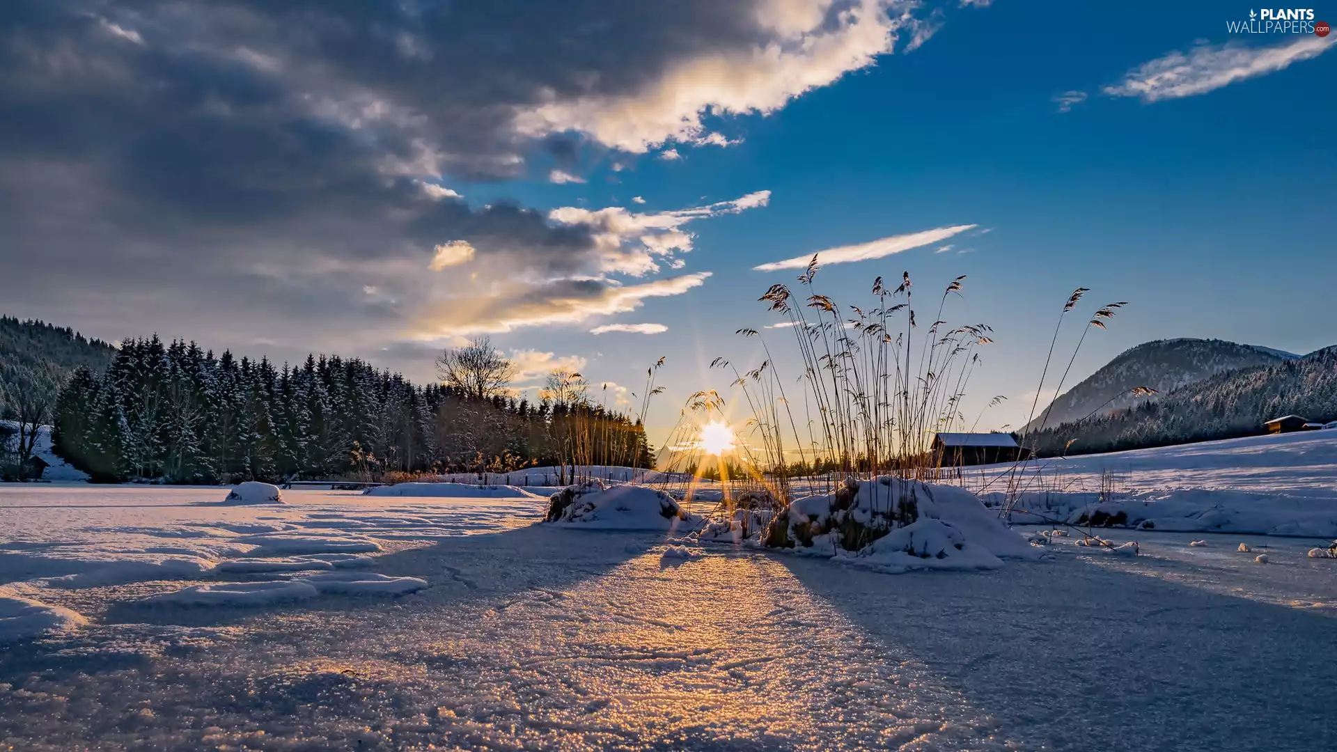 Geroldsee Lake, grass, winter, woods, rays of the Sun, Bavaria, Germany, Mountains