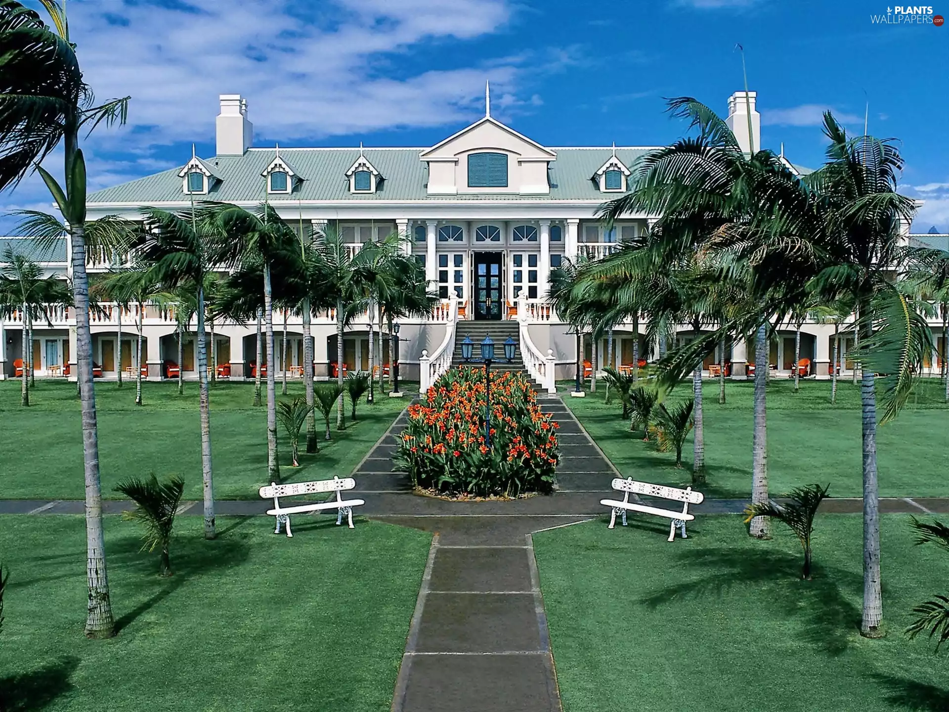 Park, Palms, Sugar, Beach, Hotel hall