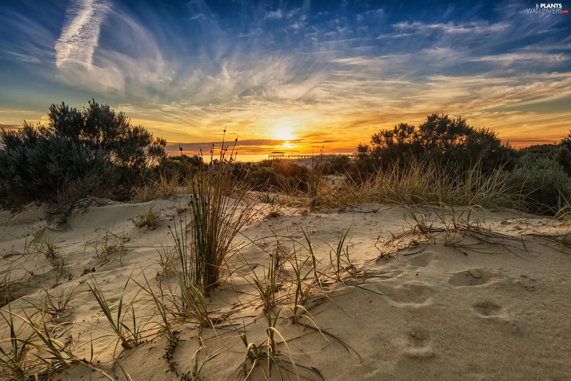 Beaches, grass, sun, sea, west