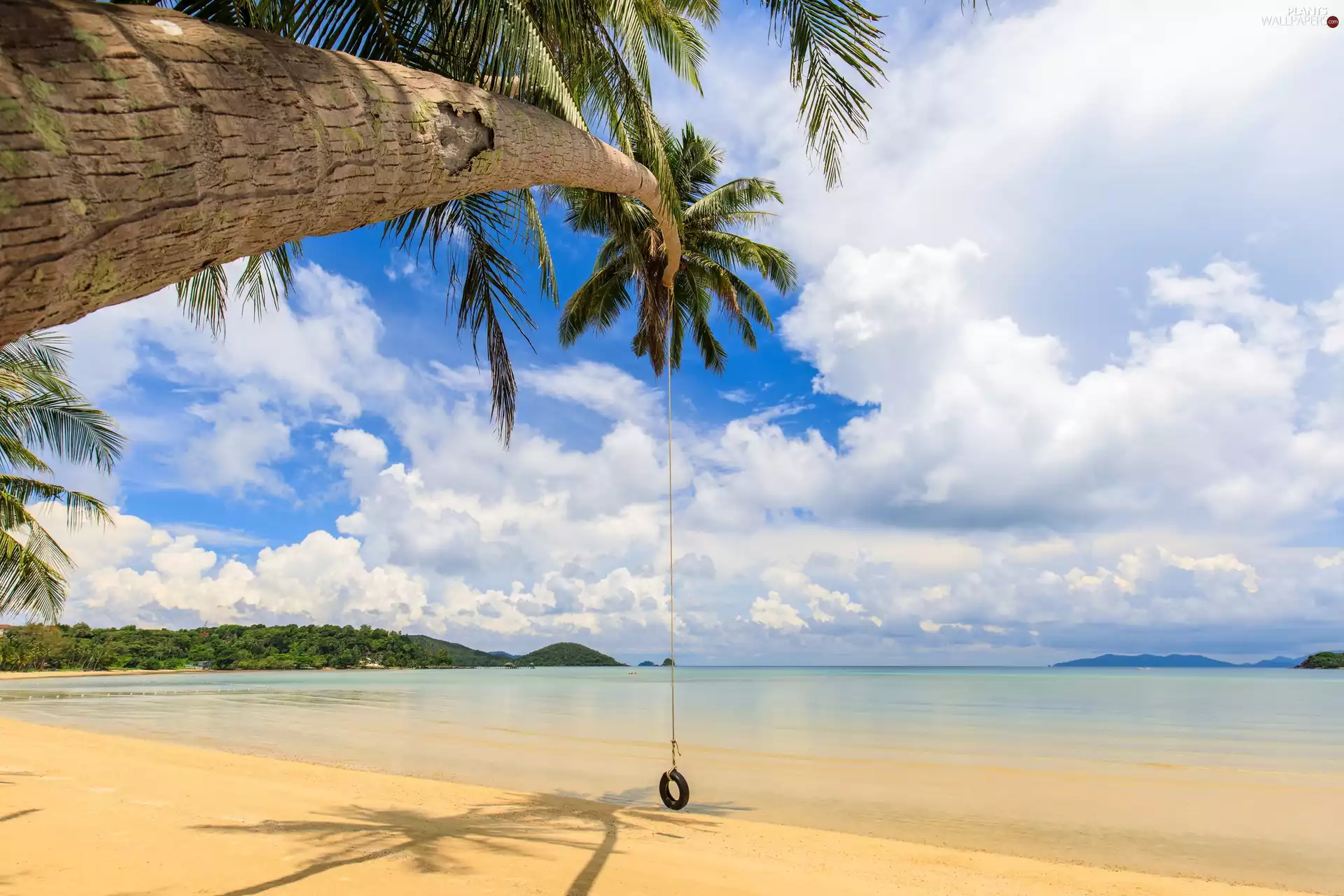 Beaches, Thailand, Palm, sea, Ko Mak Island, inclined, clouds