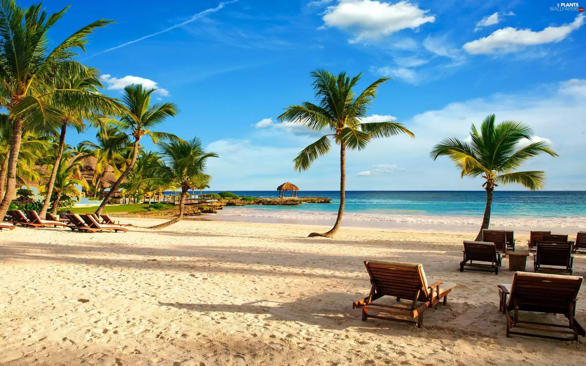 deck chair, holiday, Beaches, Palm, Ocean