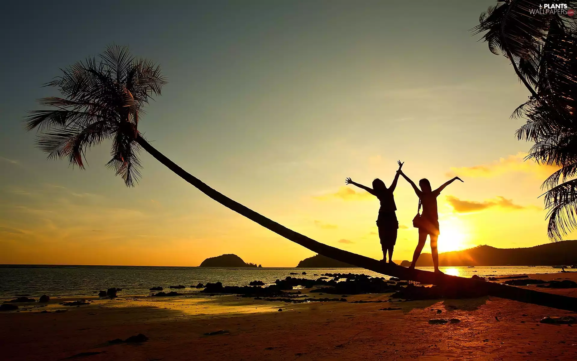 west, sea, Palm, Beaches, holiday, sun, Tourists