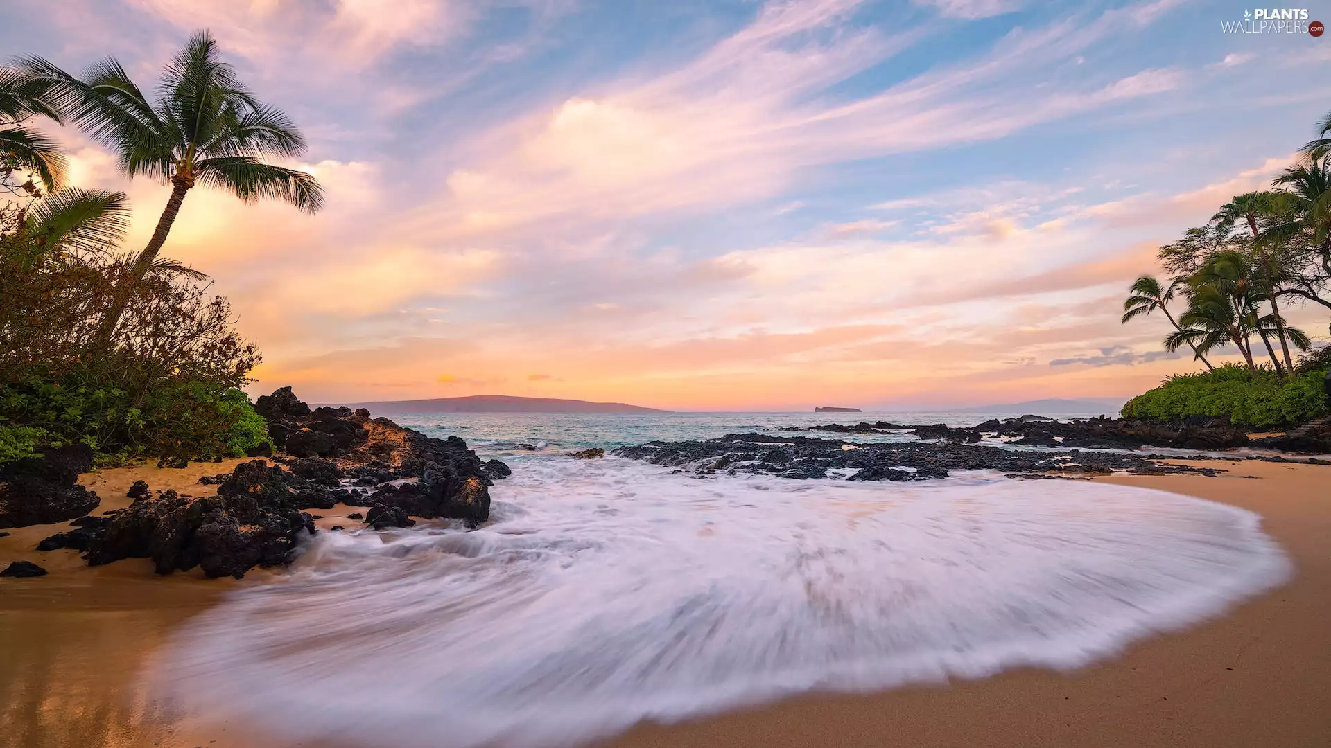 Beaches, Maui Island, clouds, sea, Aloha State Hawaje, Palms, rocks