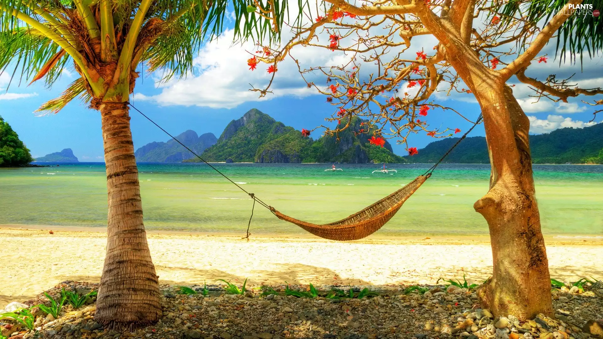 Palms, Hammock, sea, Beaches