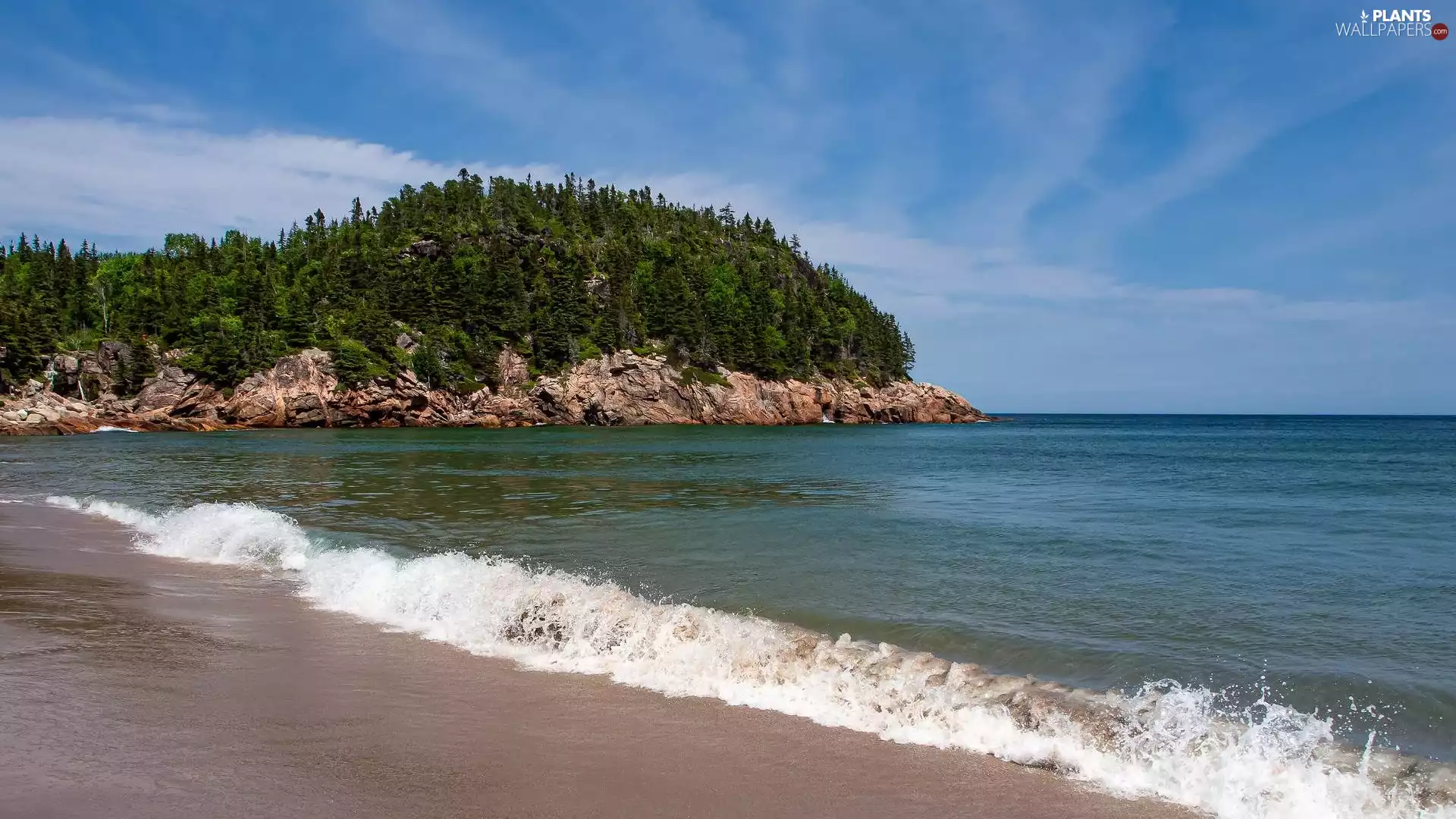 viewes, Beaches, rocks, trees, sea