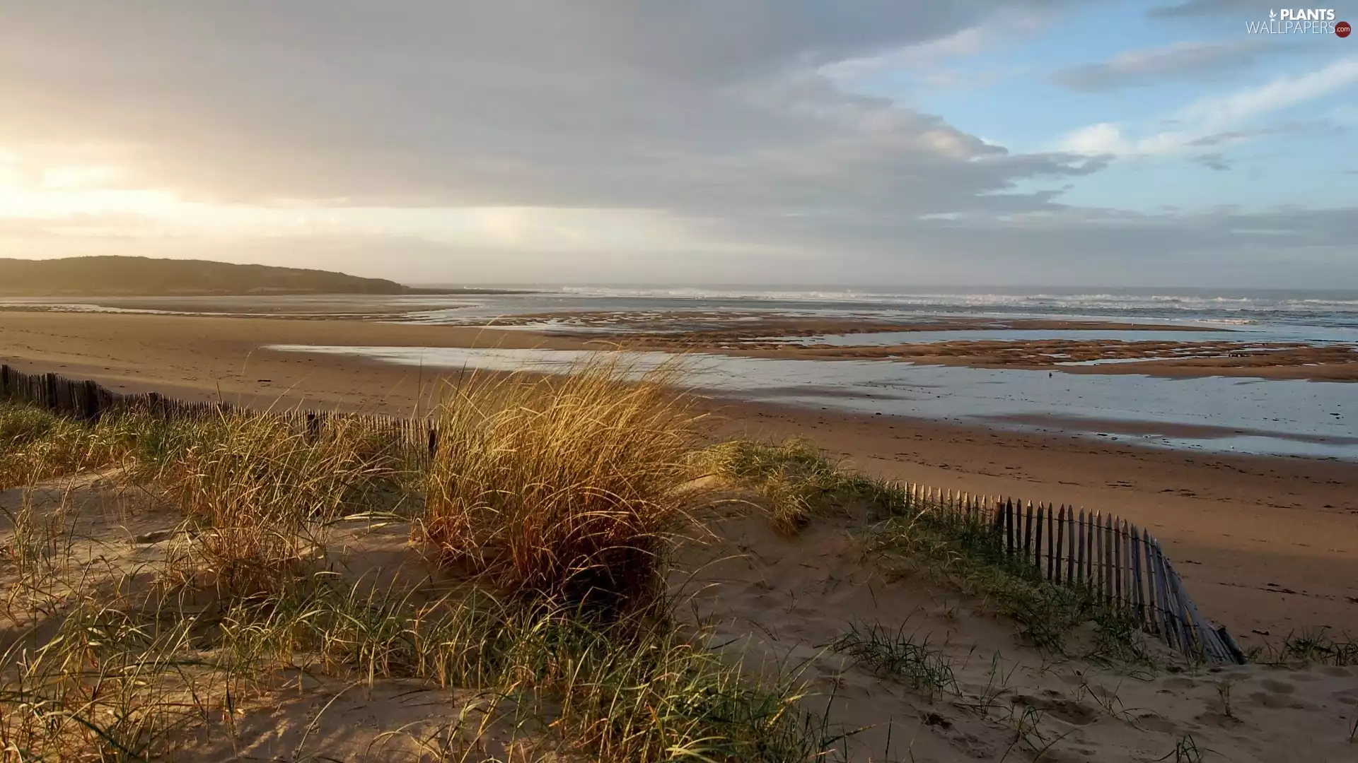 sea, grass, clouds, Beaches