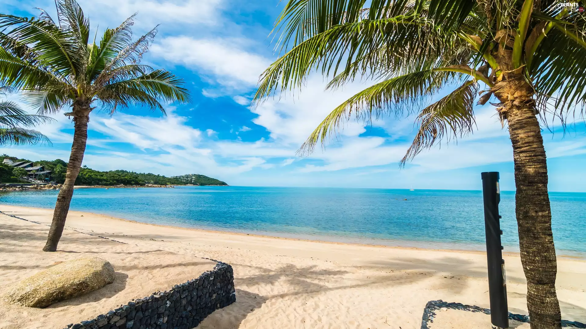 sea, coast, Palms, Beaches