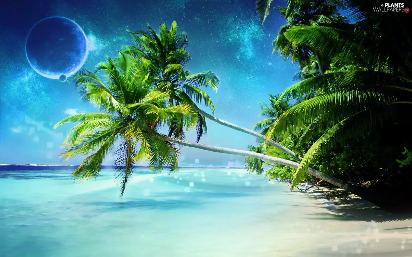 sea, Palms, Planet, Beaches