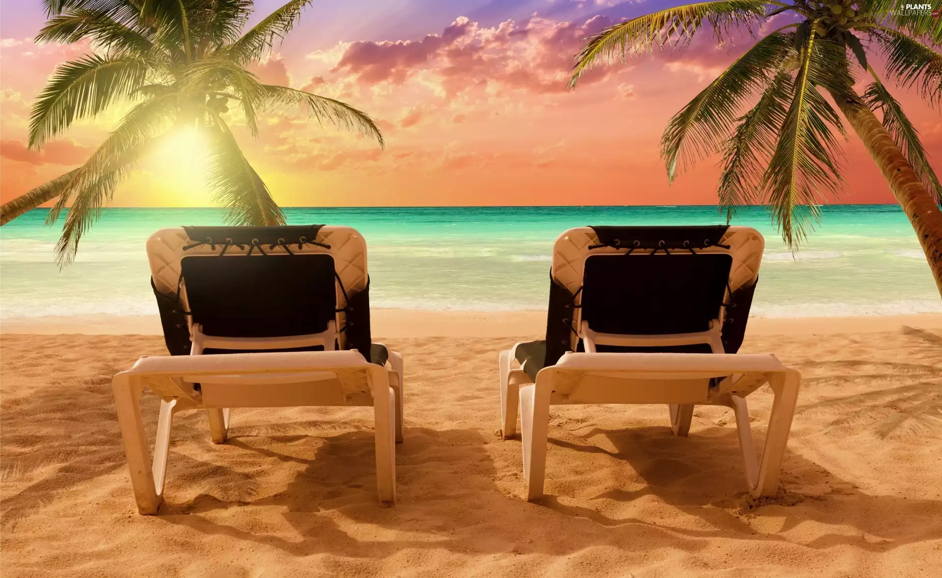 sea, Palms, seats, Beaches