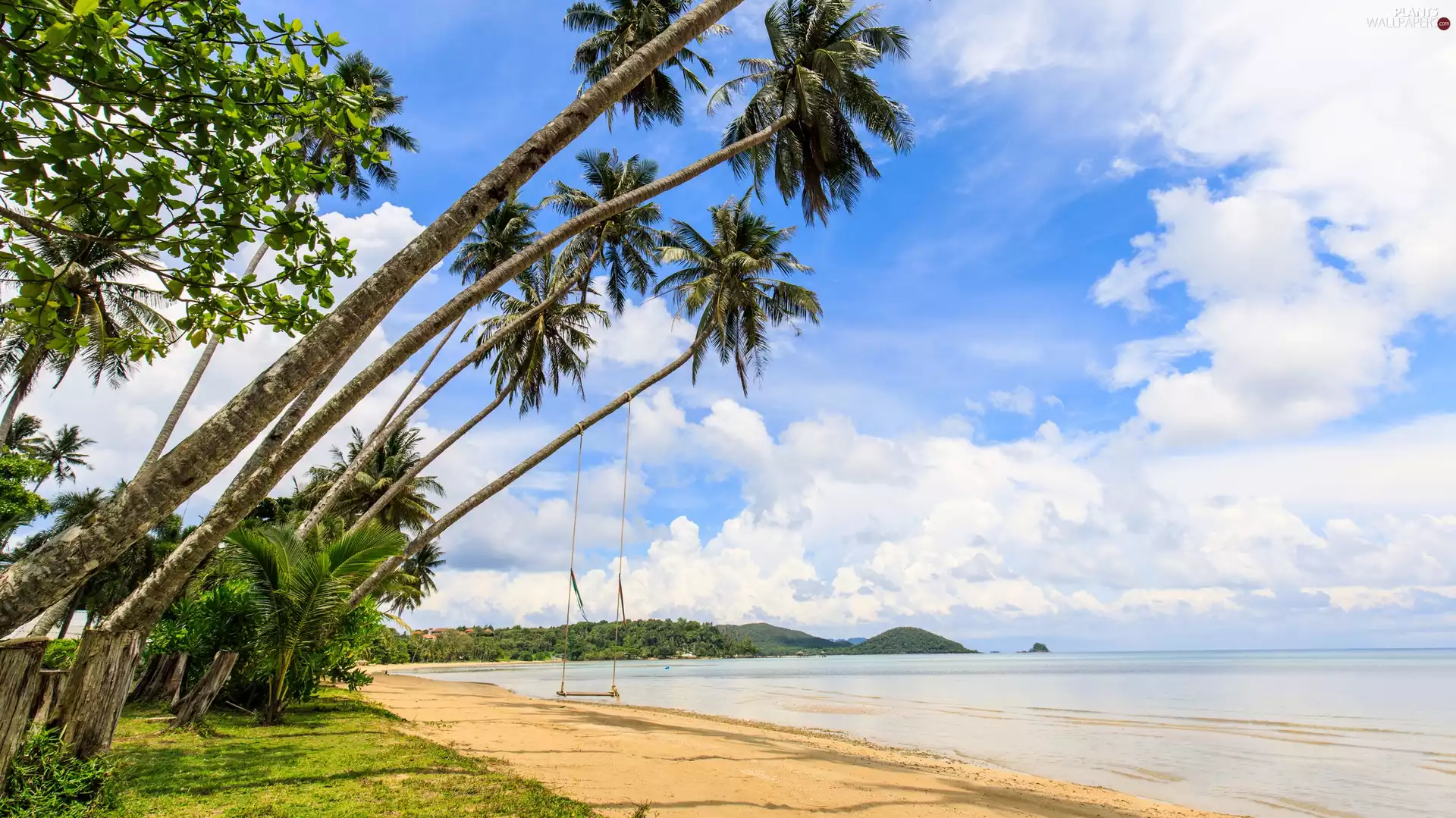 Beaches, Palms, Thailand, Swing, Ko Mak Island, coast, sea, clouds