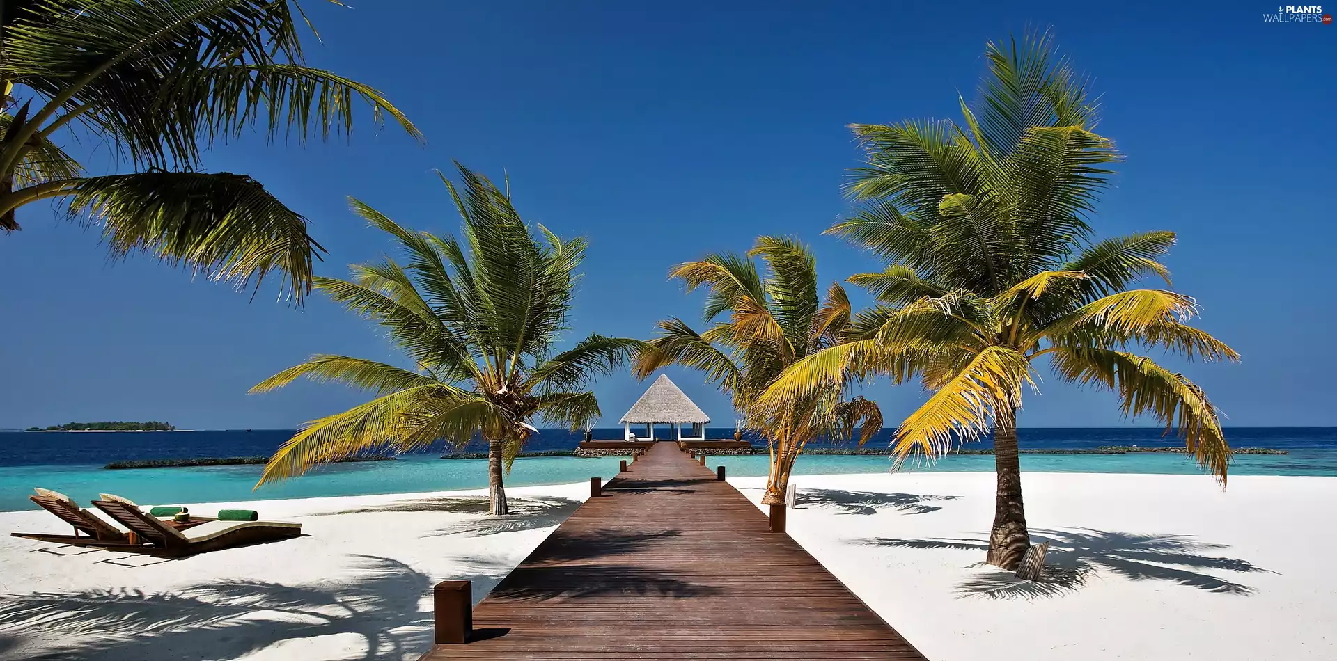 Beaches, sea, pier, Palms, luminosity, shadow, sun, flash, ligh