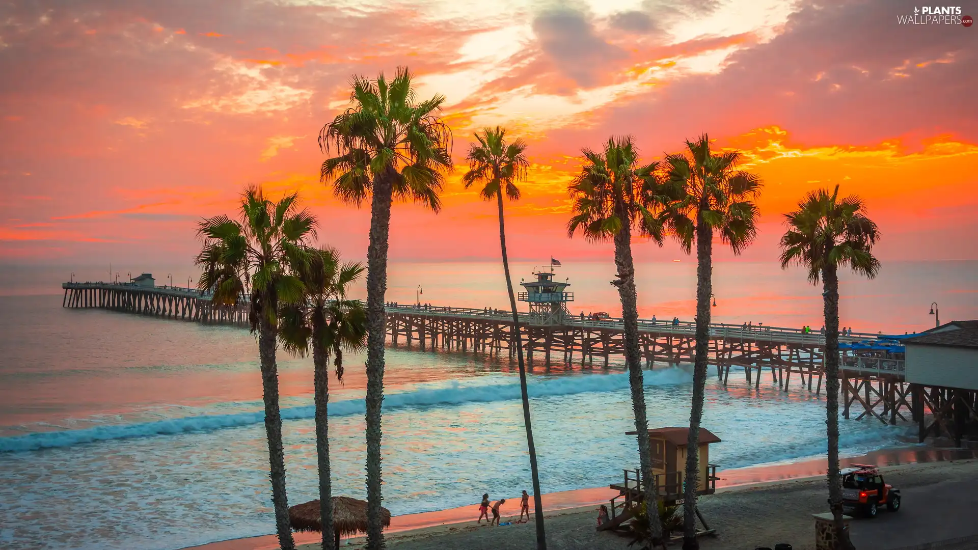 Beaches, pier, California, Palms, sea, San Clemente, The United States
