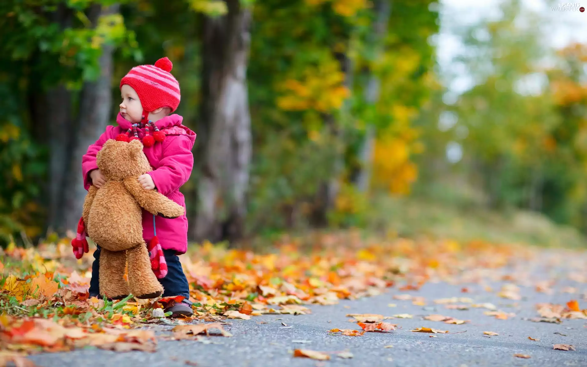 Leaf, trees, Kid, viewes, autumn, lane, teddy bear