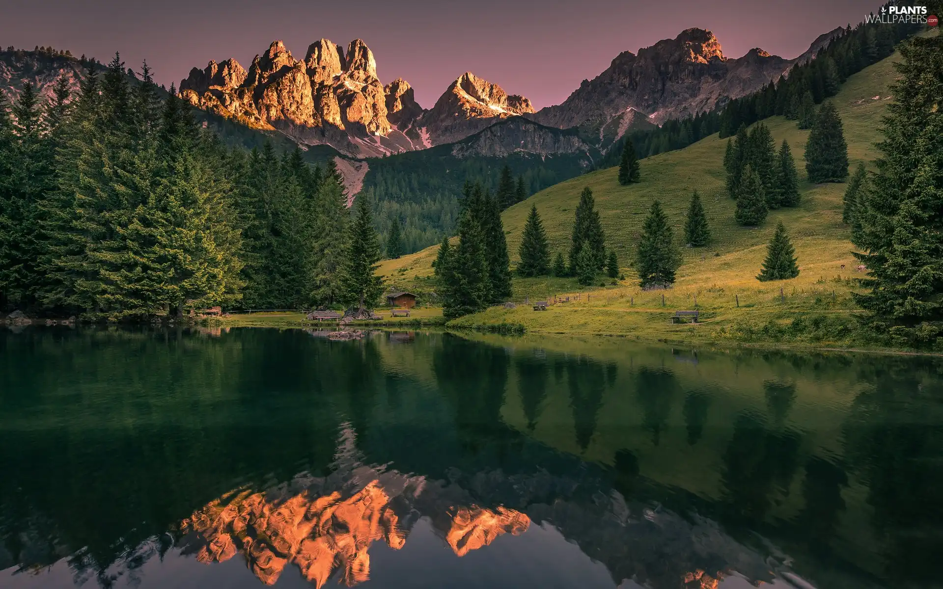 trees, viewes, Austria, lake, reflection, forest, Mountains, bench