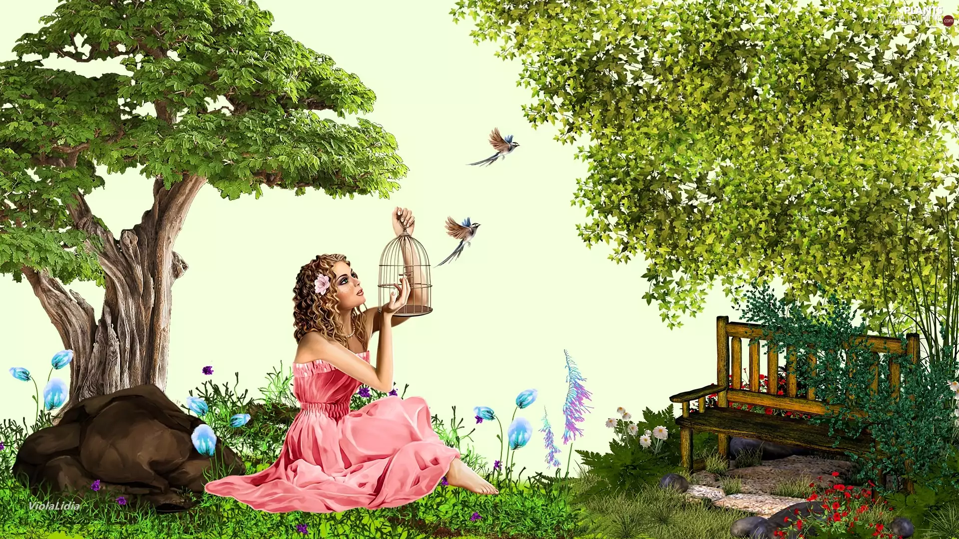 viewes, Bench, birds, trees, girl