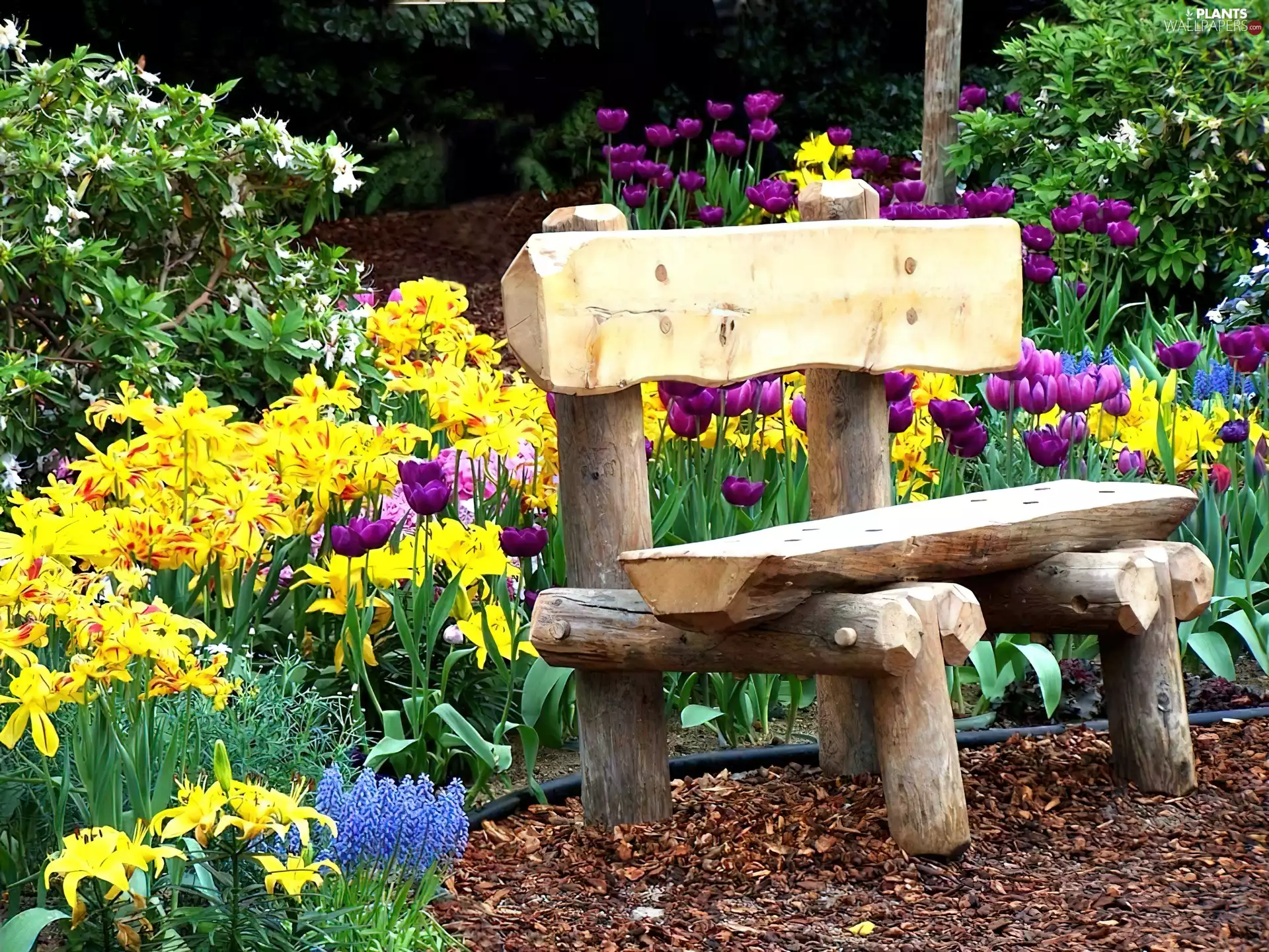 Bench, garden, floral
