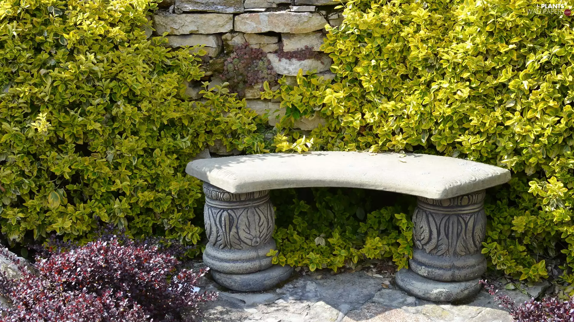 stone, wall, Bush, Bench