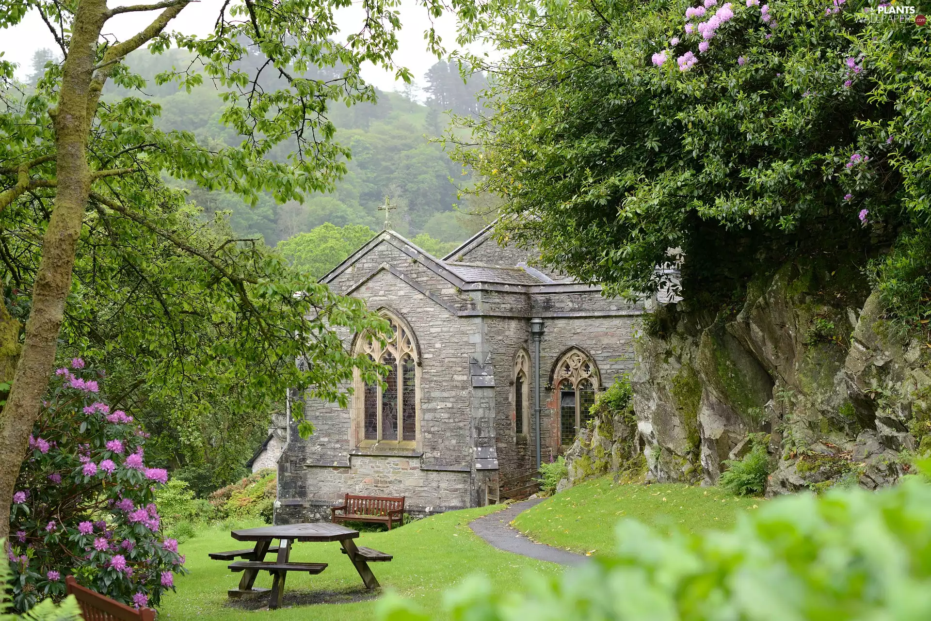 viewes, Church, table, bench, rhododendron, trees