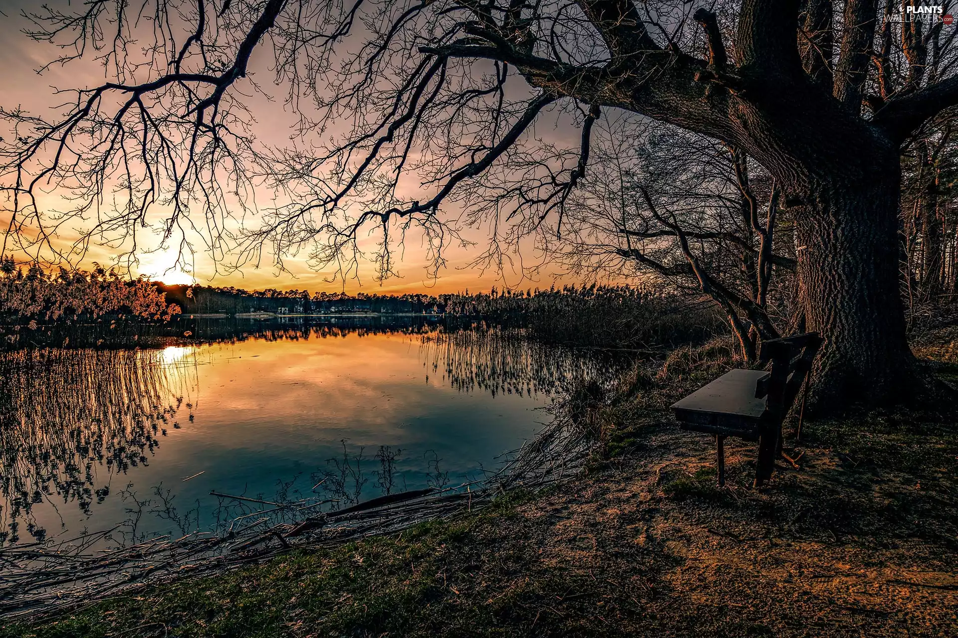 autumn, lake, viewes, Bench, trees, Great Sunsets