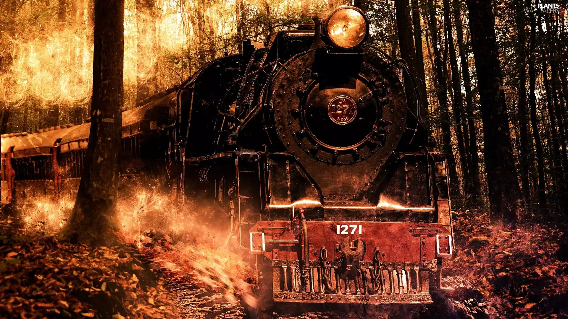 forest, locomotive, viewes, Big Fire, trees, Train