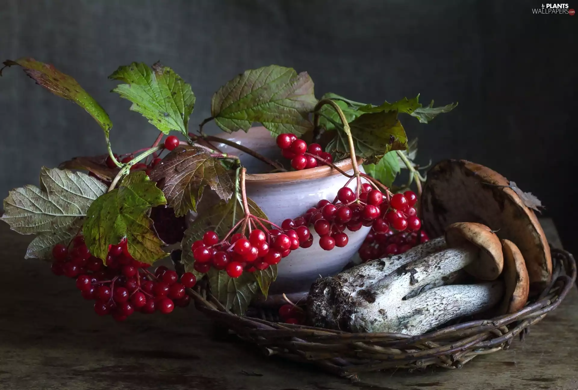 Viburnum, basket, mushrooms, Birch Bolete, composition