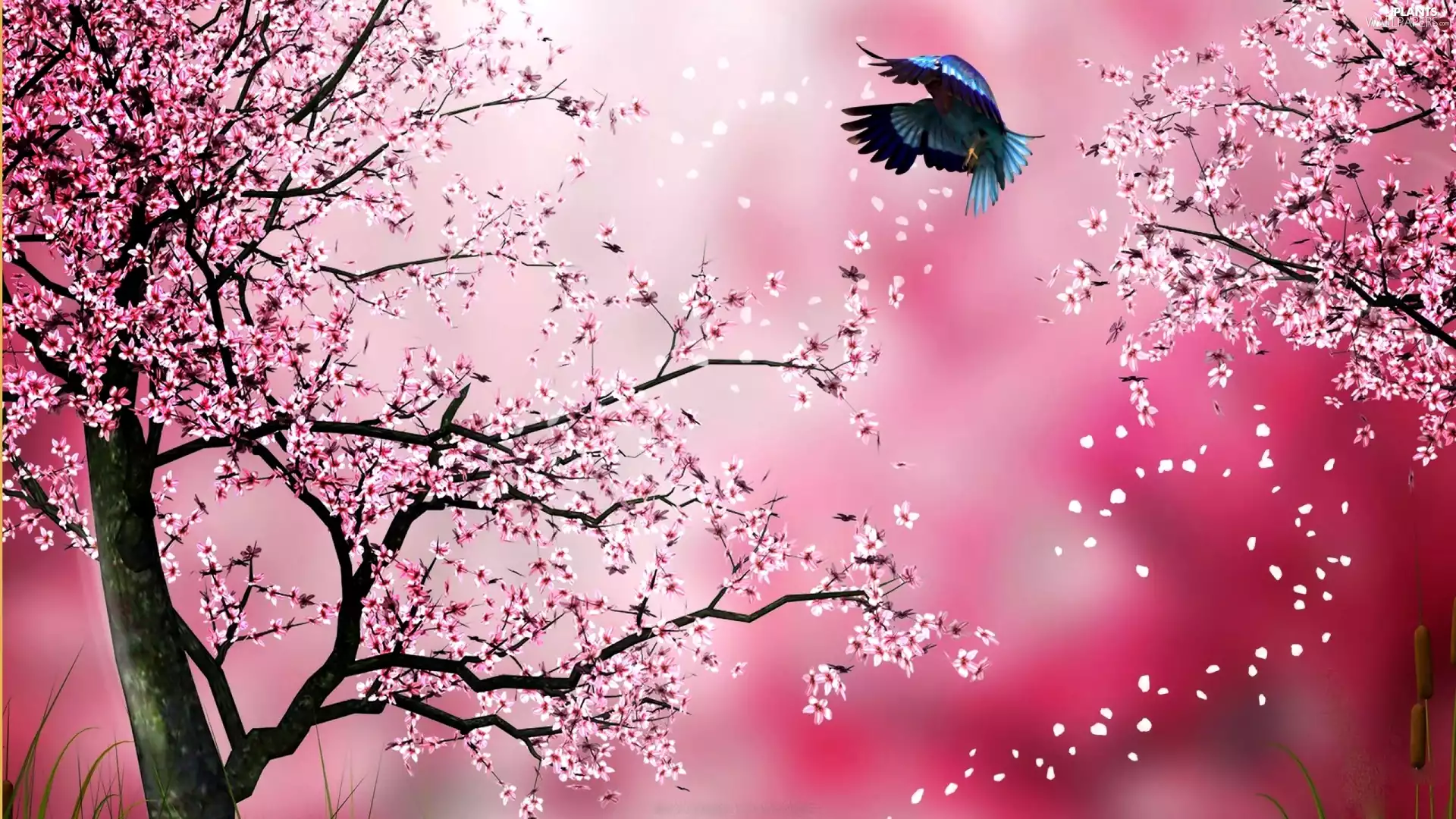 Bird, trees, Flowers