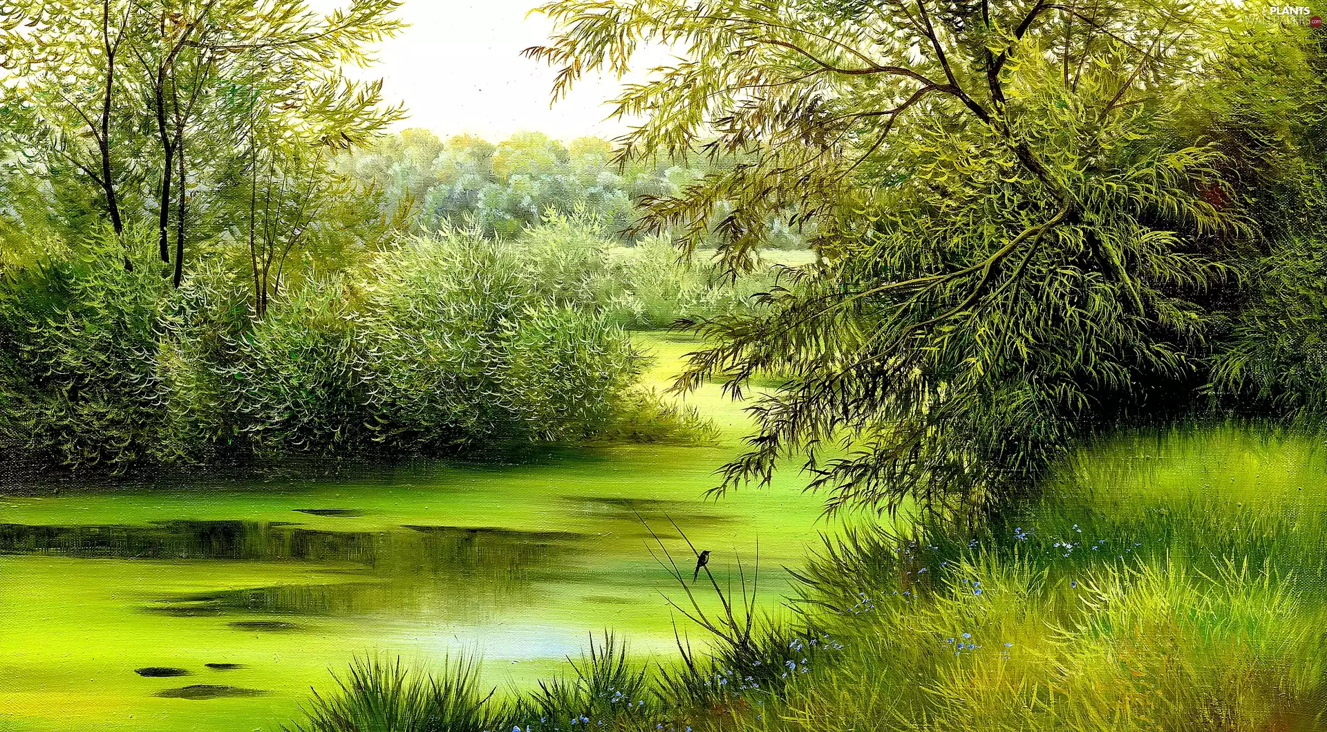 Pond - car, picture, viewes, nature, painting, trees, Bird