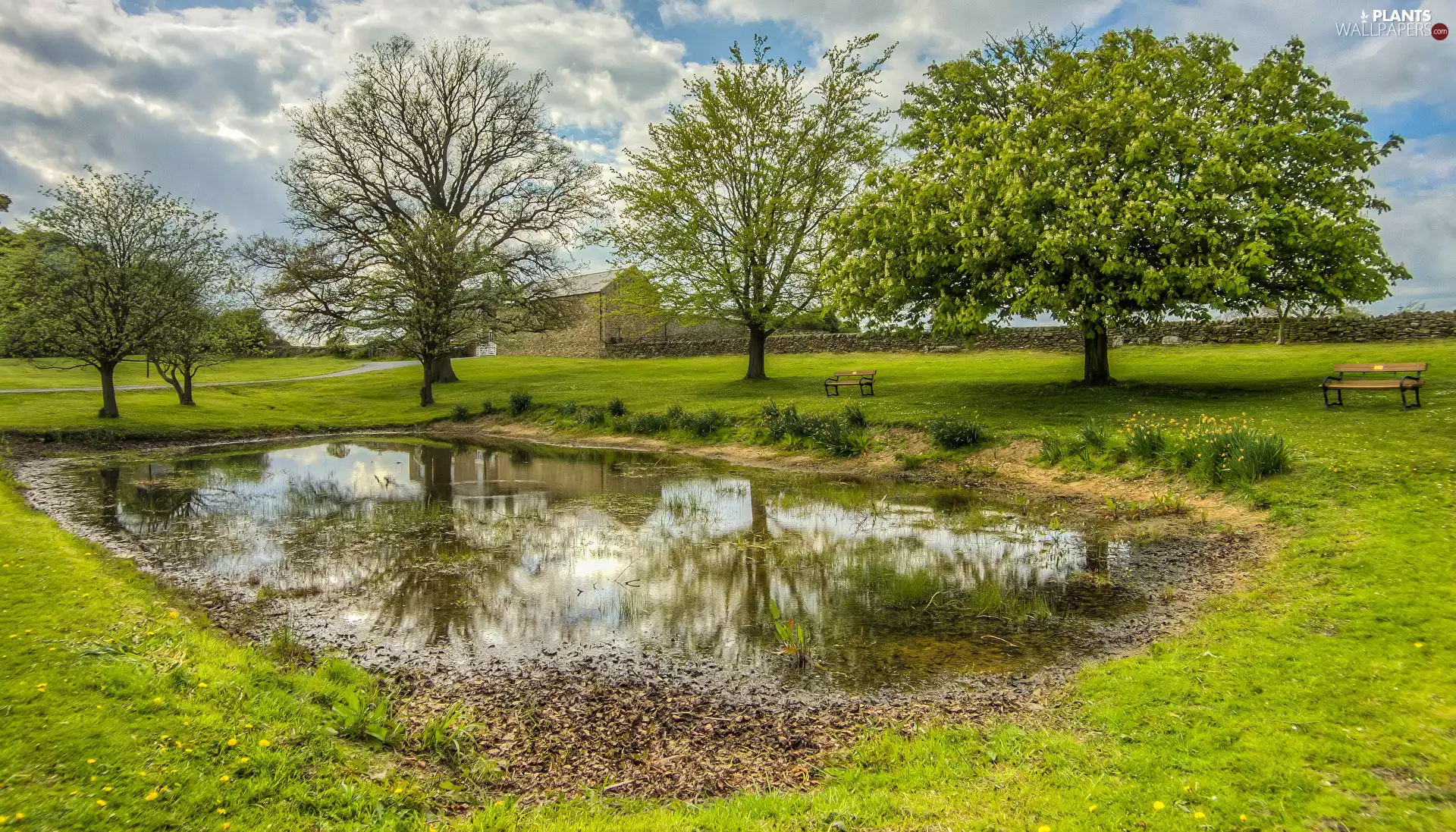 Bishop Auckland, England, puddle, trees, House, Fance, bench, Lawn, viewes