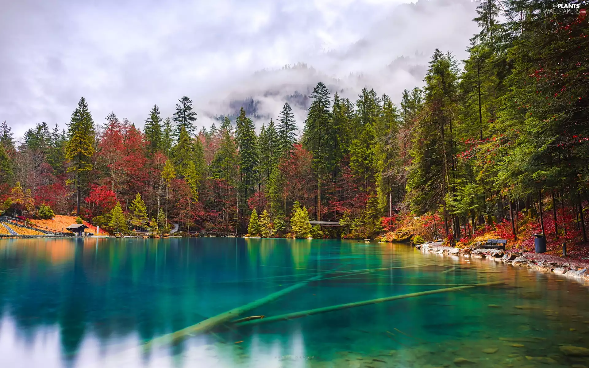 Blausee Lake, Bench, viewes, autumn, trees, Bernese Highlands, Switzerland, forest