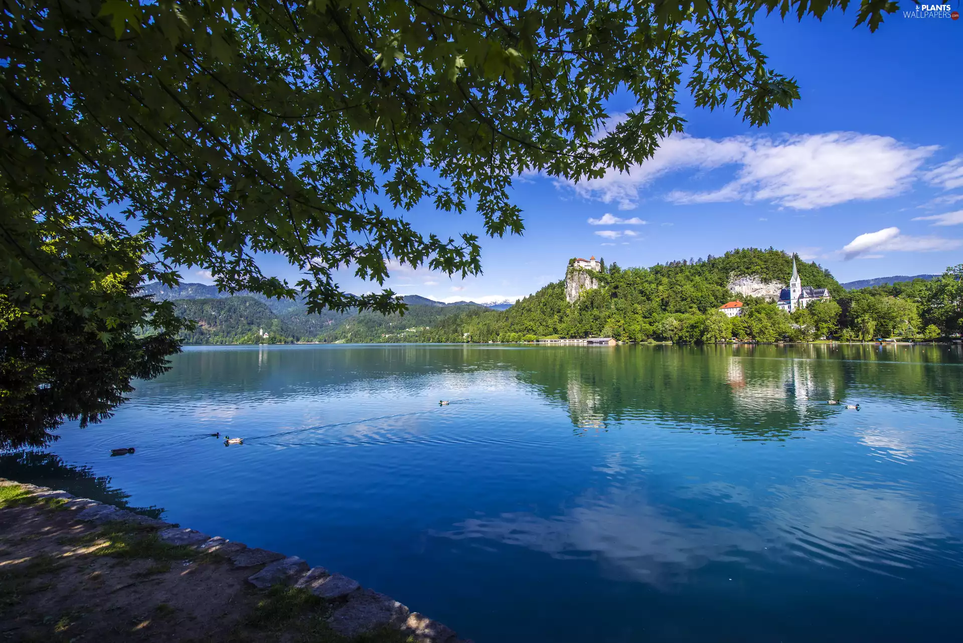Lake Bled, Slovenia, Church, ducks, Hill, Bled Castle, trees, viewes, Mountains