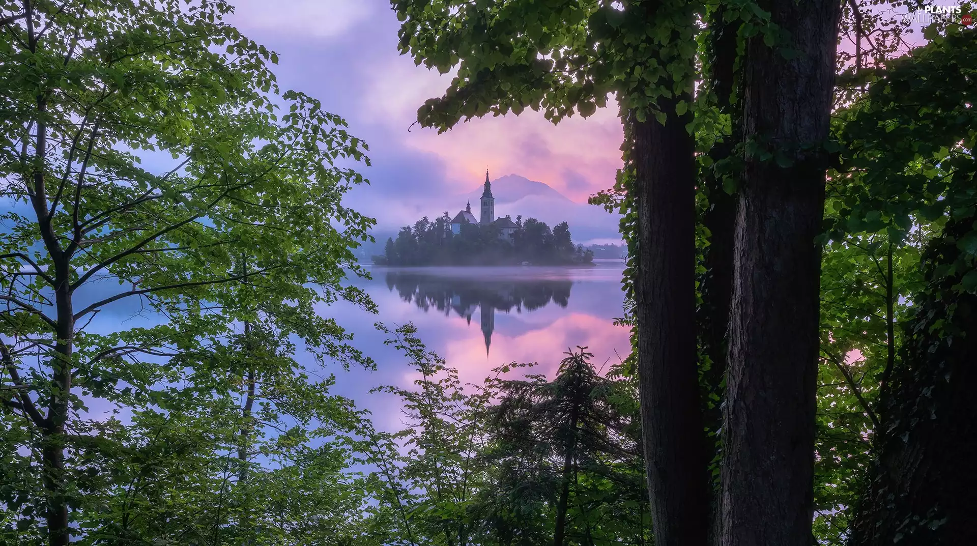 Bled Island, Lake Bled, trees, Islet, Slovenia, Church, viewes
