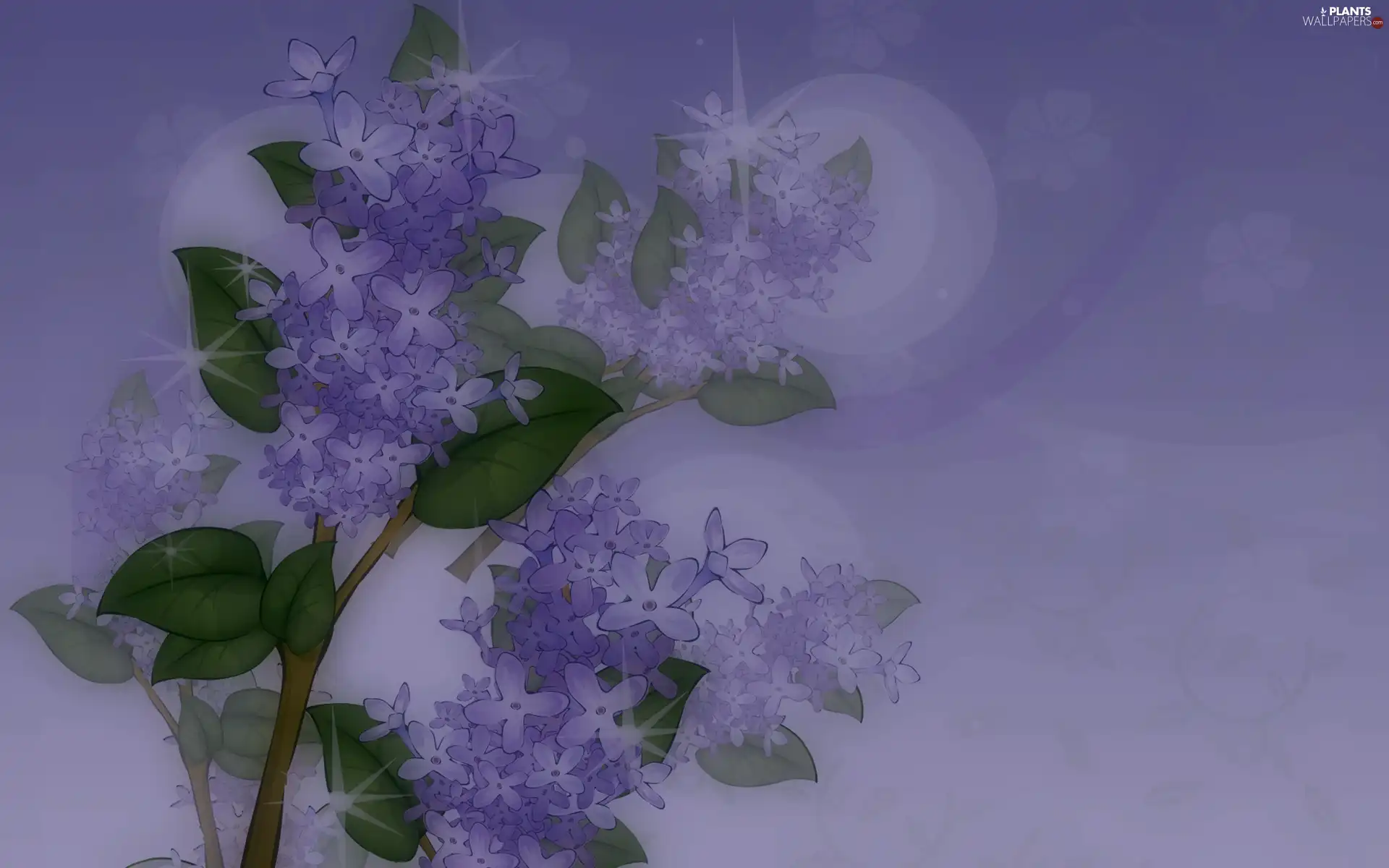 Blue, Twigs, lilac