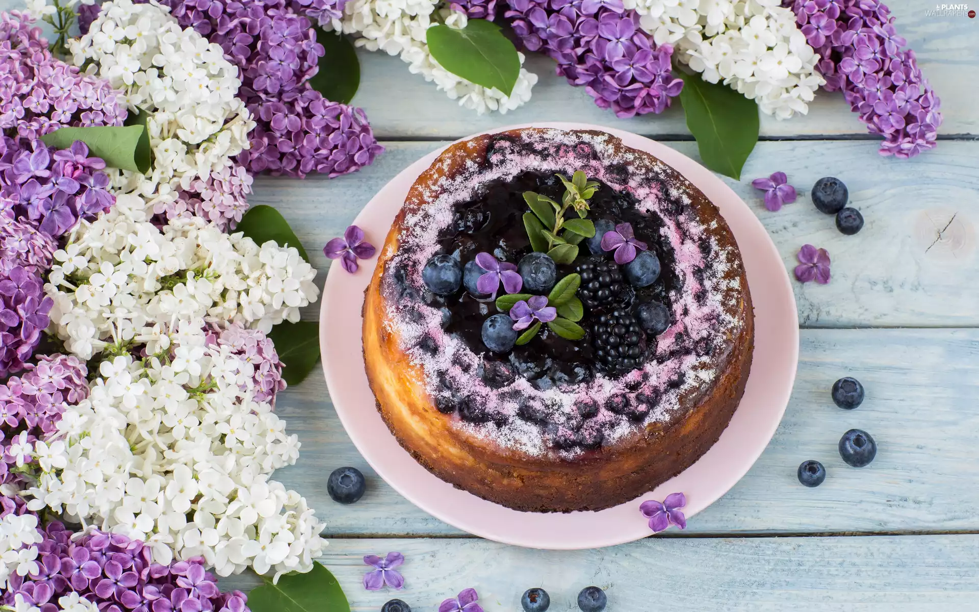 cake, blackberries, without, blueberries