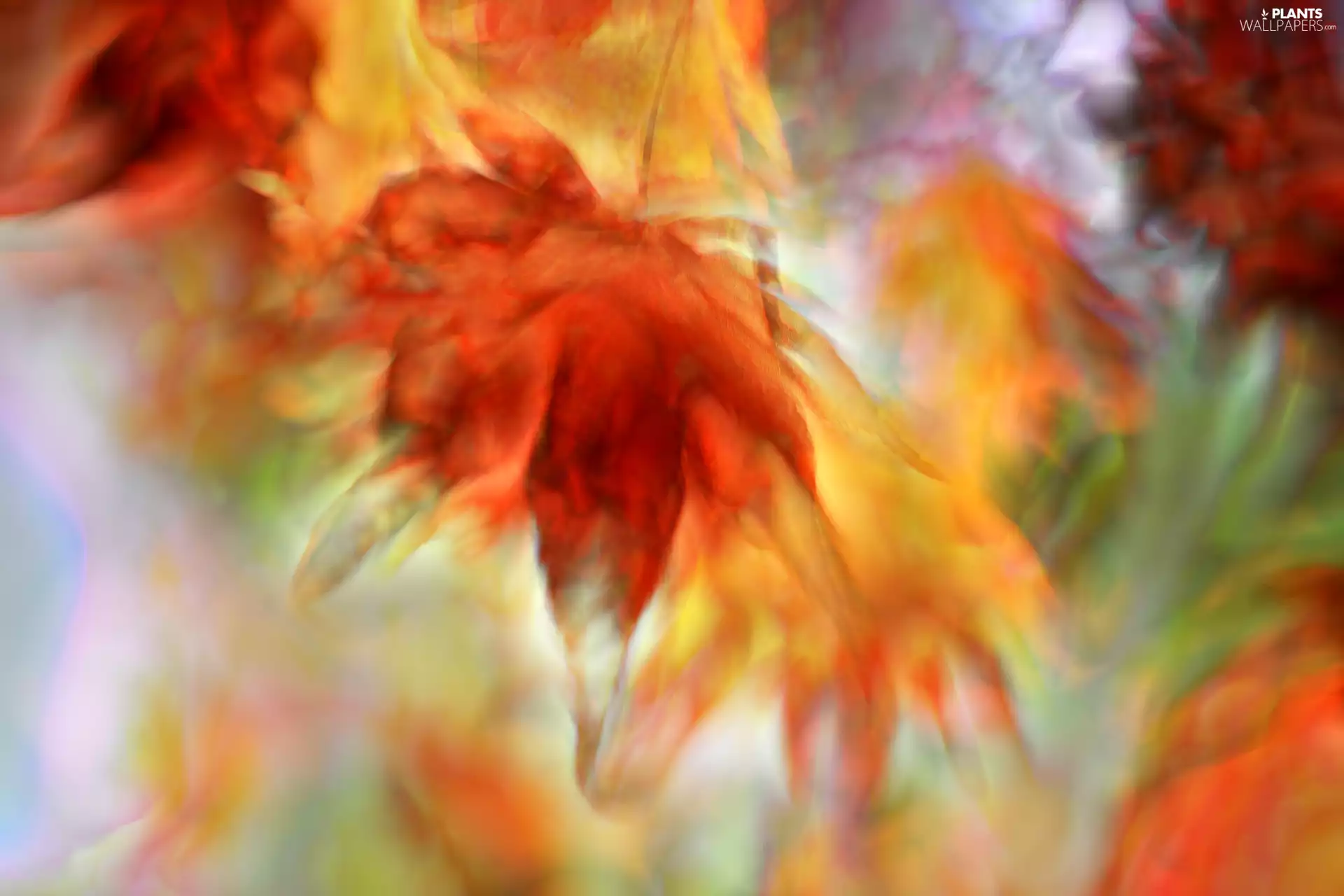 blur, graphics, Leaf