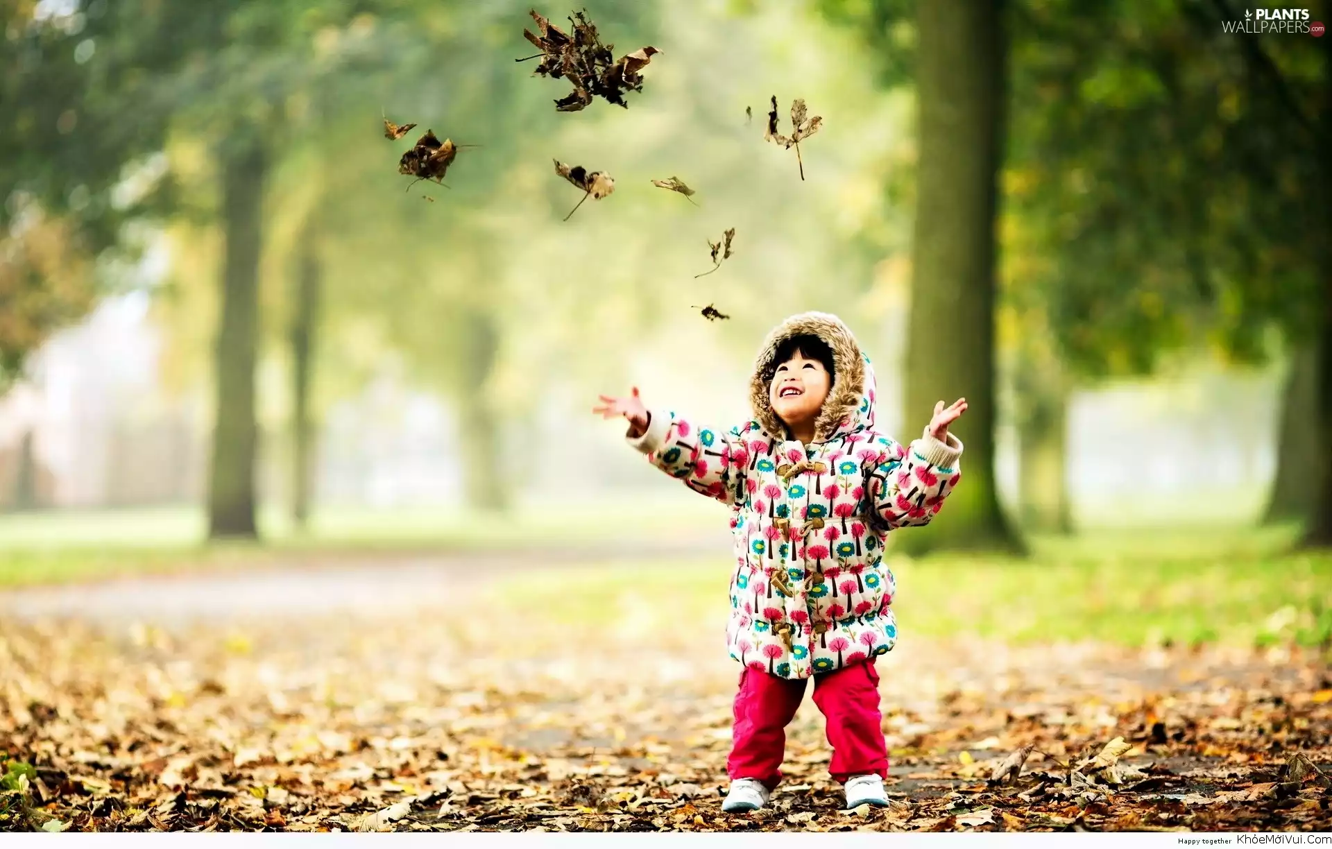 boy, autumn, Leaf, blur, fallen, Park