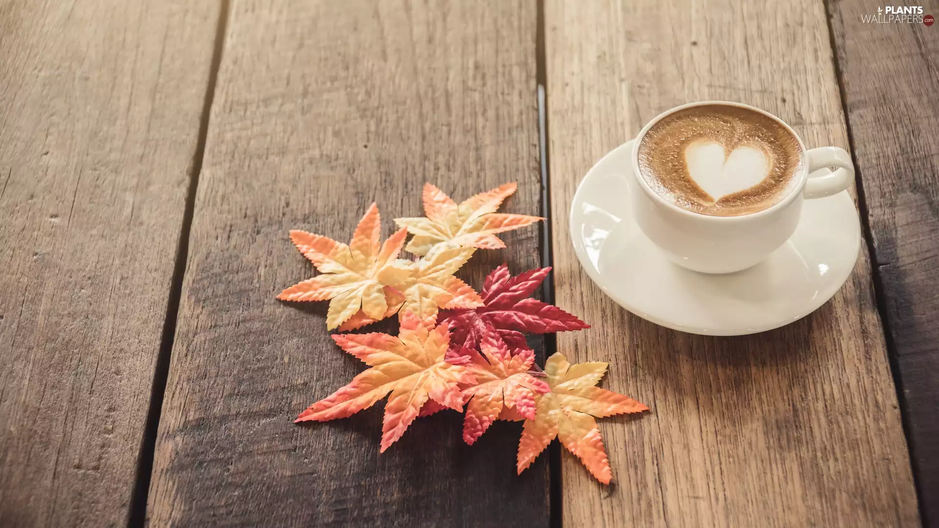 Leaf, boarding, coffee, Heart, cup