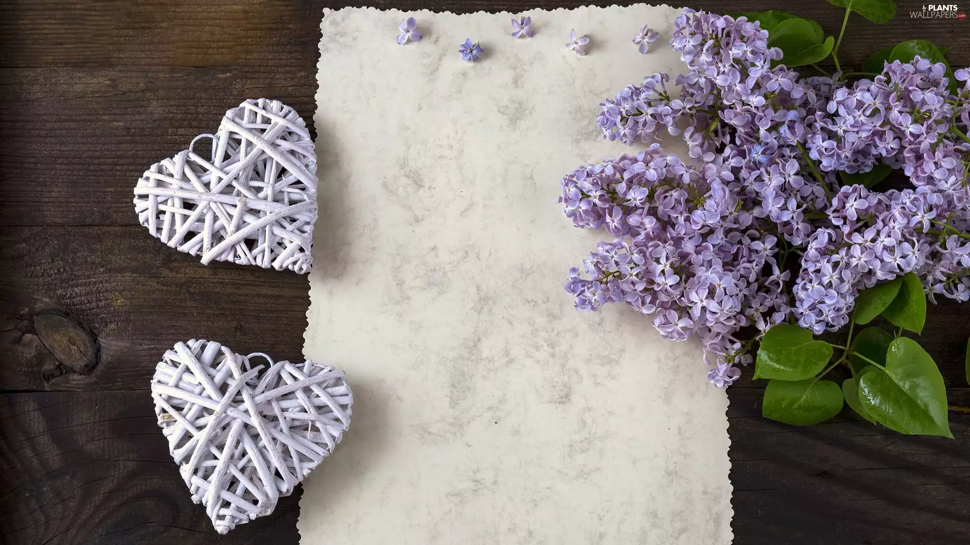 card, without, heart, boarding, Two cars, twig