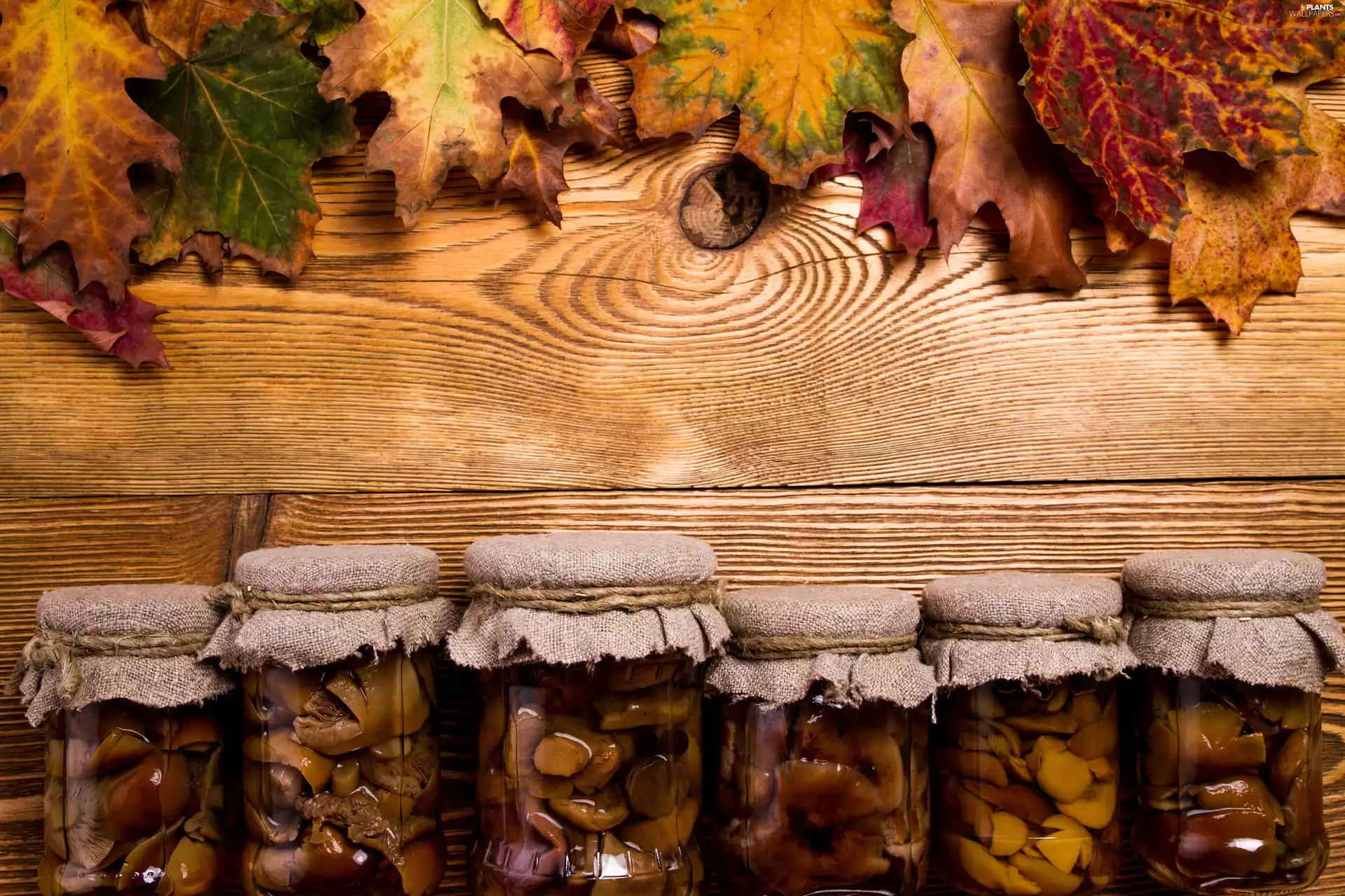 Leaf, boarding, Jars, mushrooms, Preparations