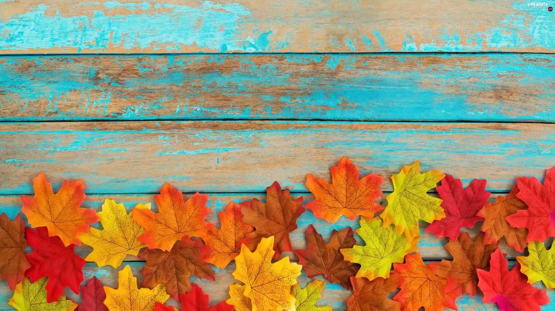 Shabby, boarding, Leaf, Blue, color