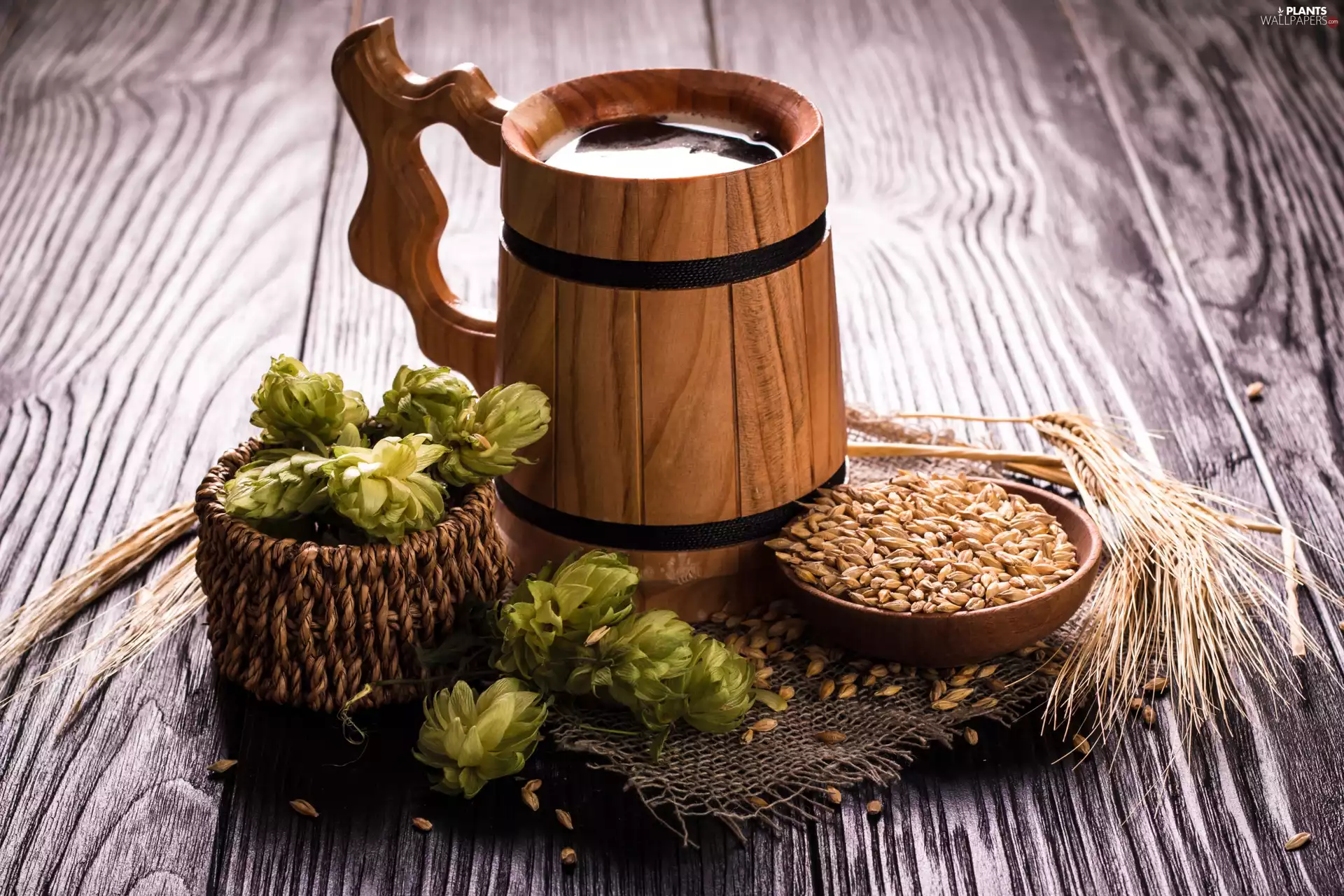 corn, boarding, mug, hop, Beer