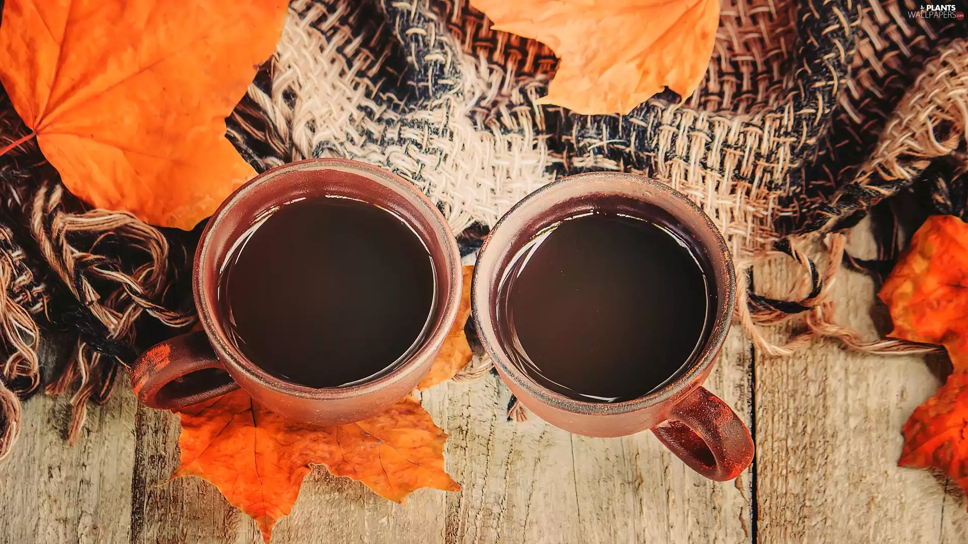 cups, coffee, coverlet, boarding, Leaf, Two