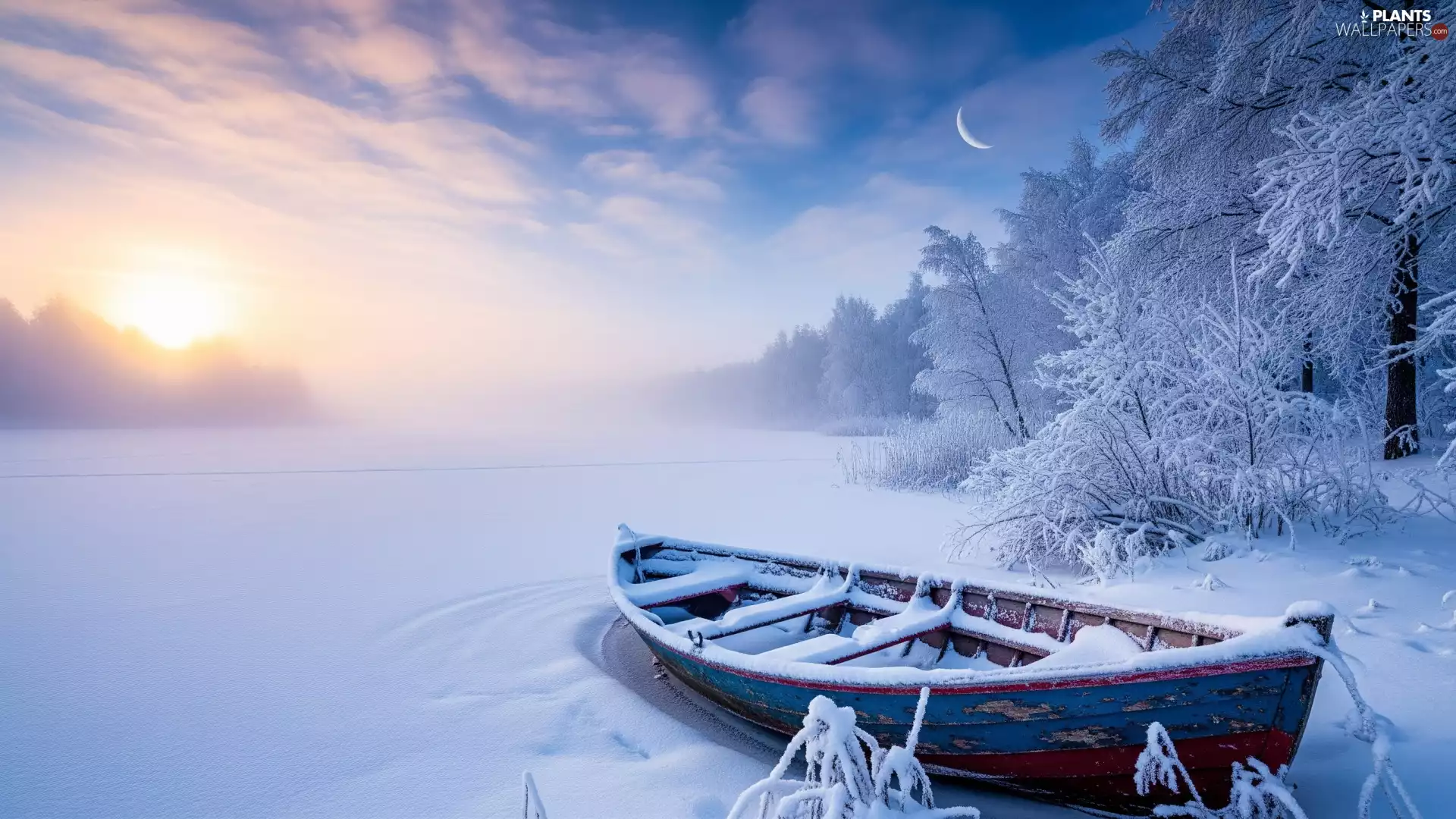 Snowy, trees, Fog, viewes, Sunrise, lake, winter, Boat