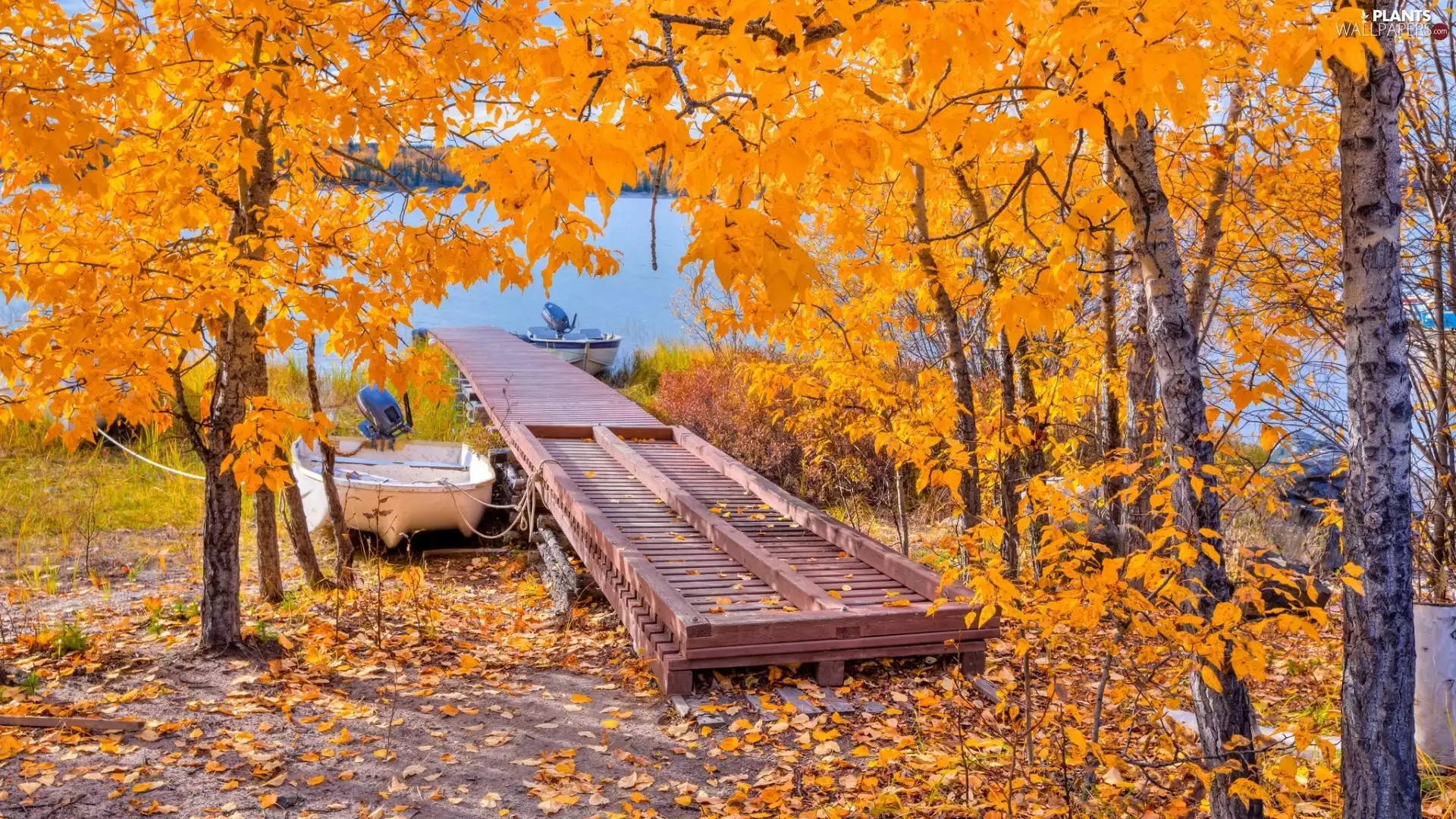 viewes, birch, autumn, Platform, lake, trees, autumn, boats