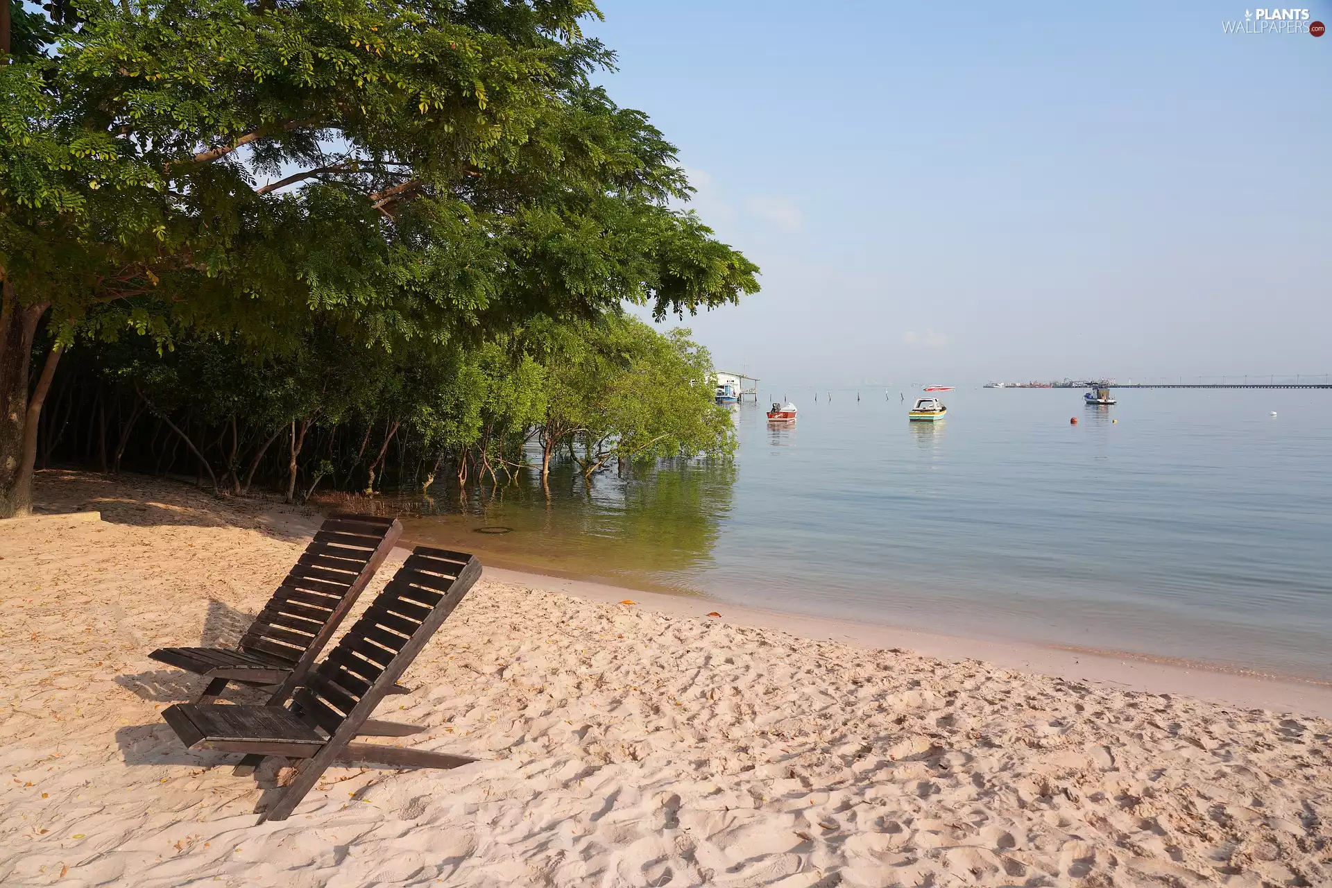 trees, Beaches, sea, boats, viewes, deck chair