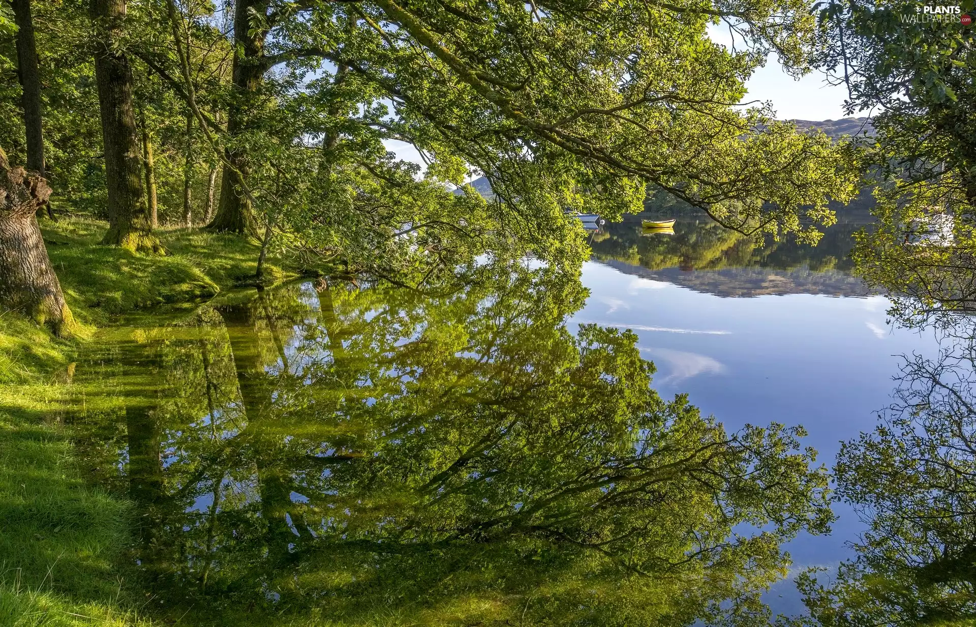 reflection, boats, trees, viewes, lake