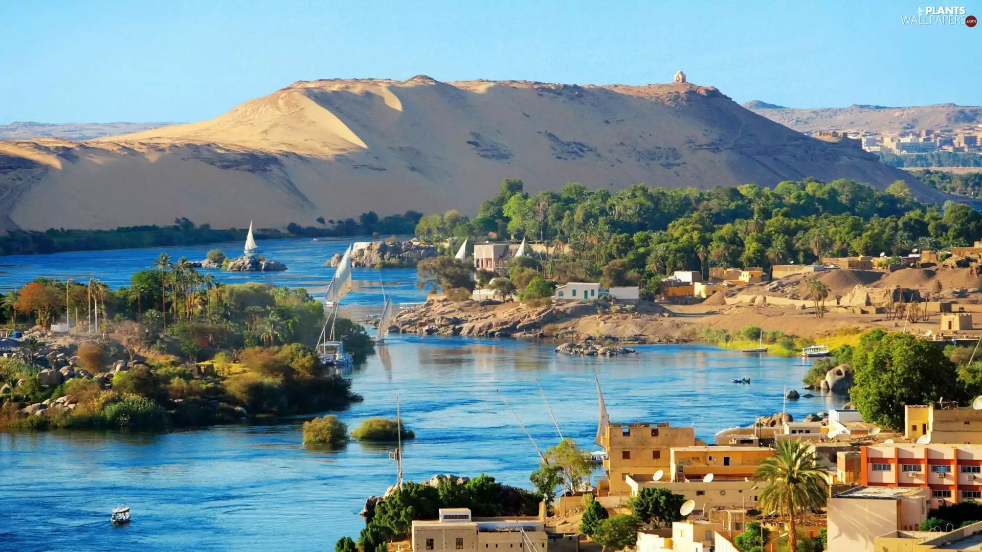 Houses, River, viewes, Desert, trees, Aswan, Egypt, boats